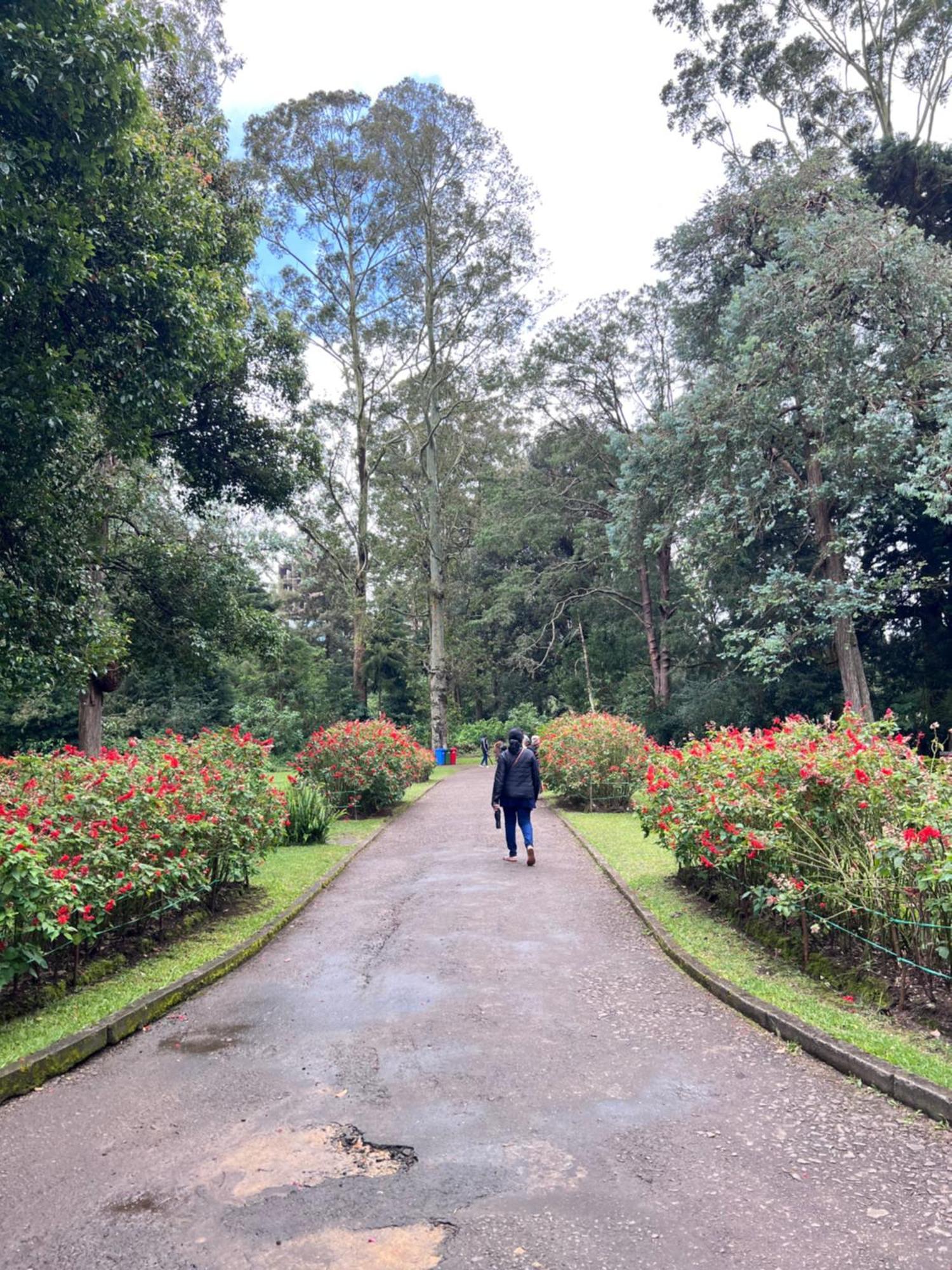 Galway - View Luxury Apartment, Sri Lanka