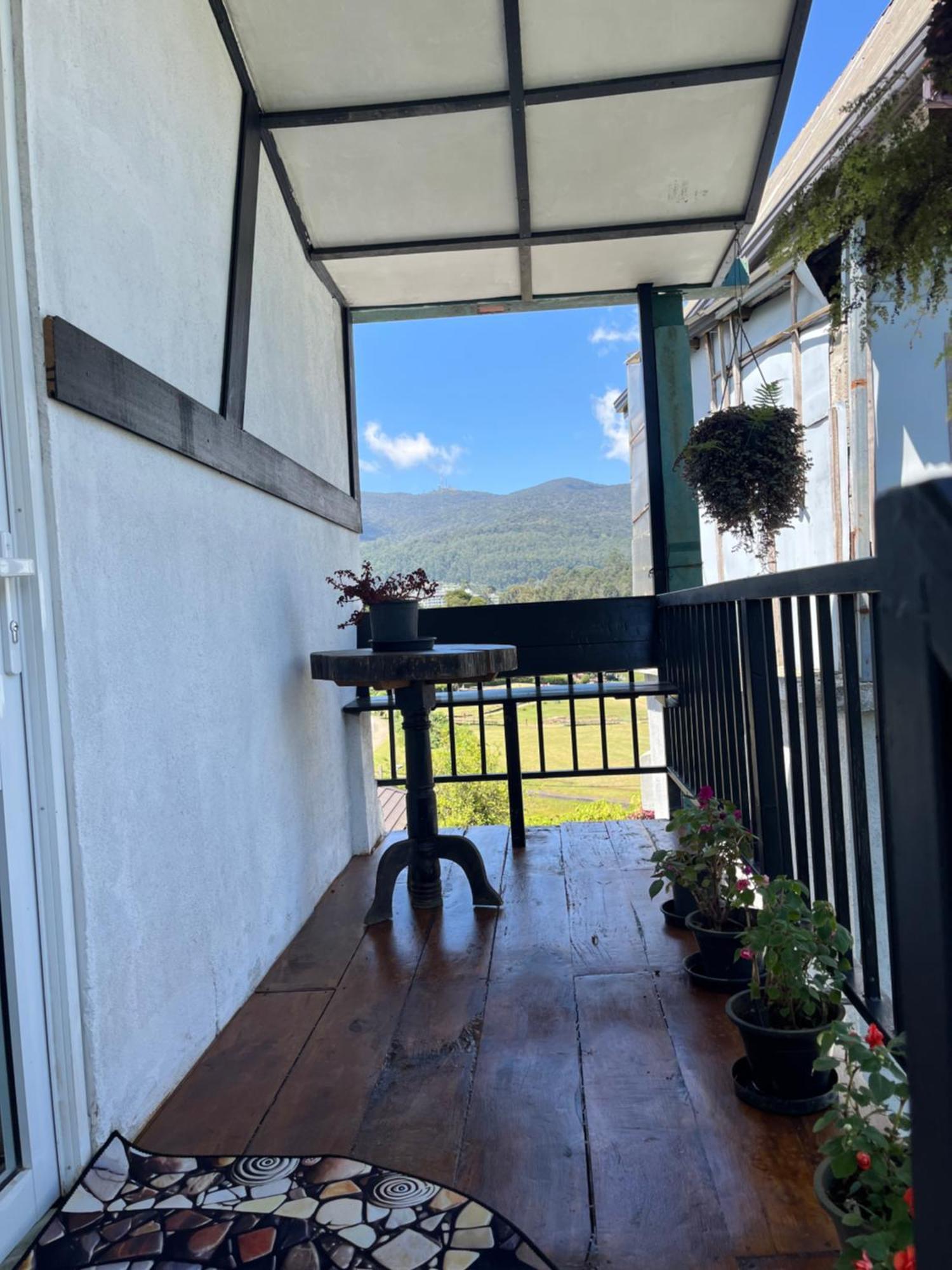 Medalin Harmony Heaven Apartment