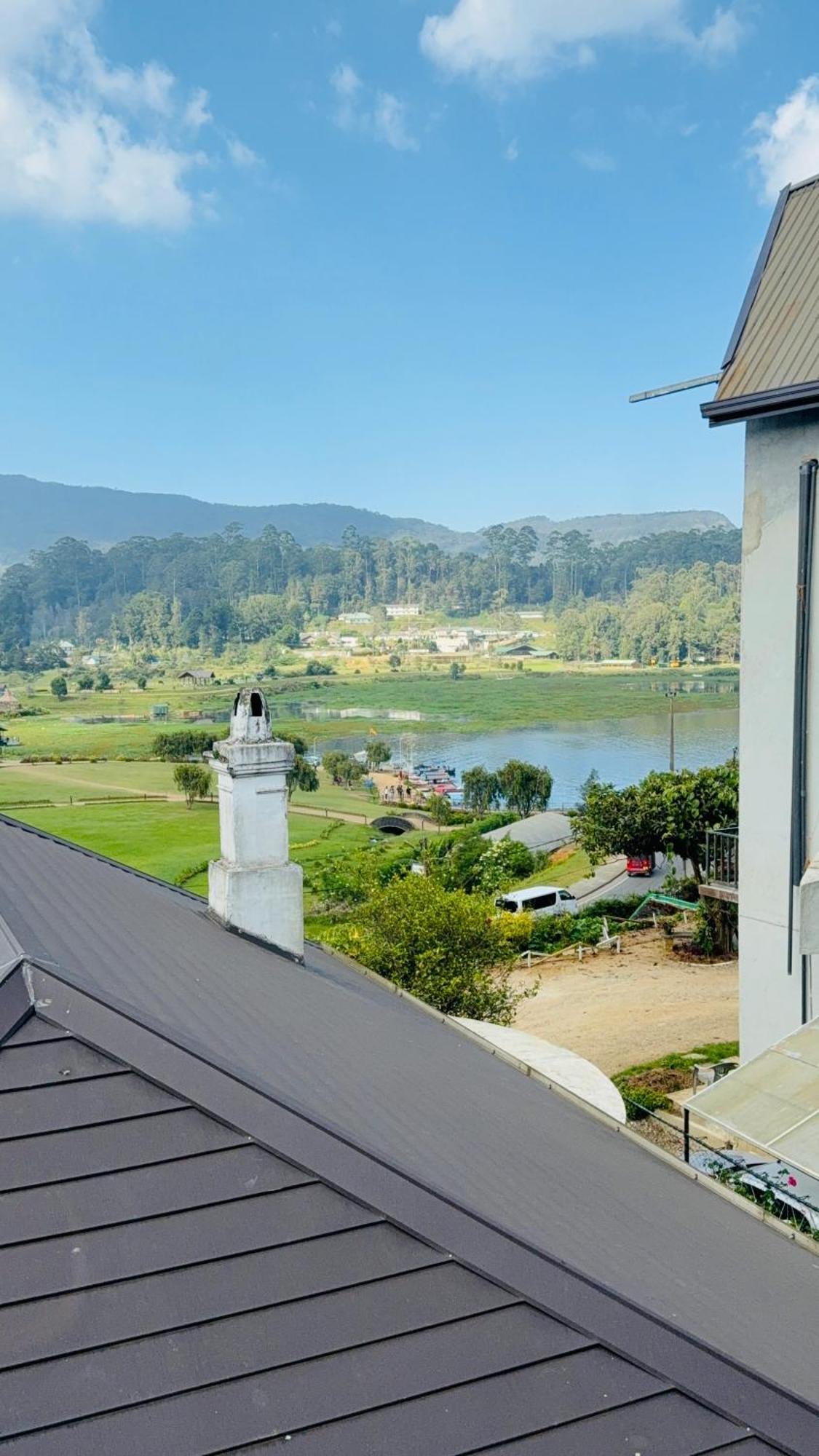 Medalin Harmony Heaven *