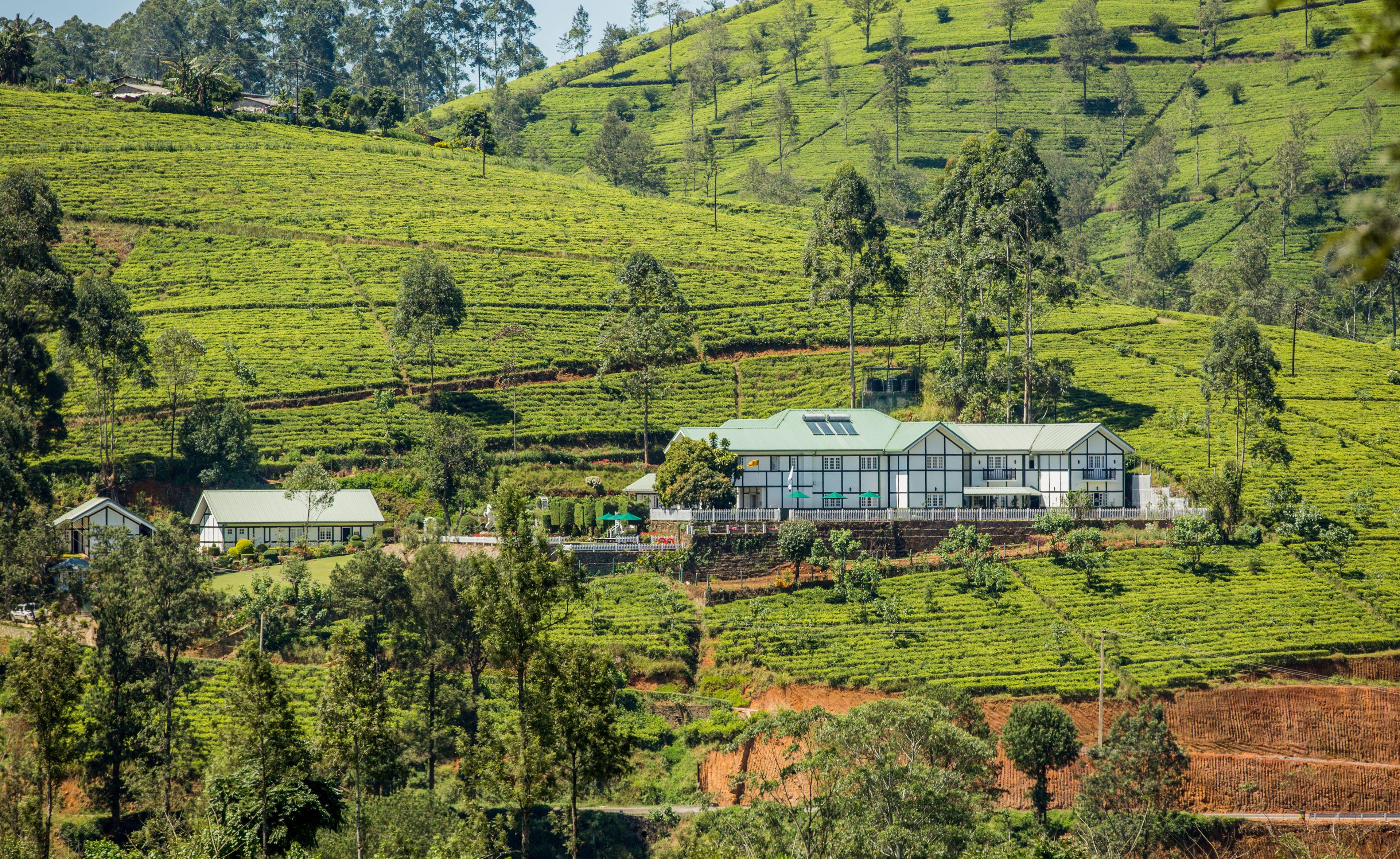 Langdale Boutique By Amaya *