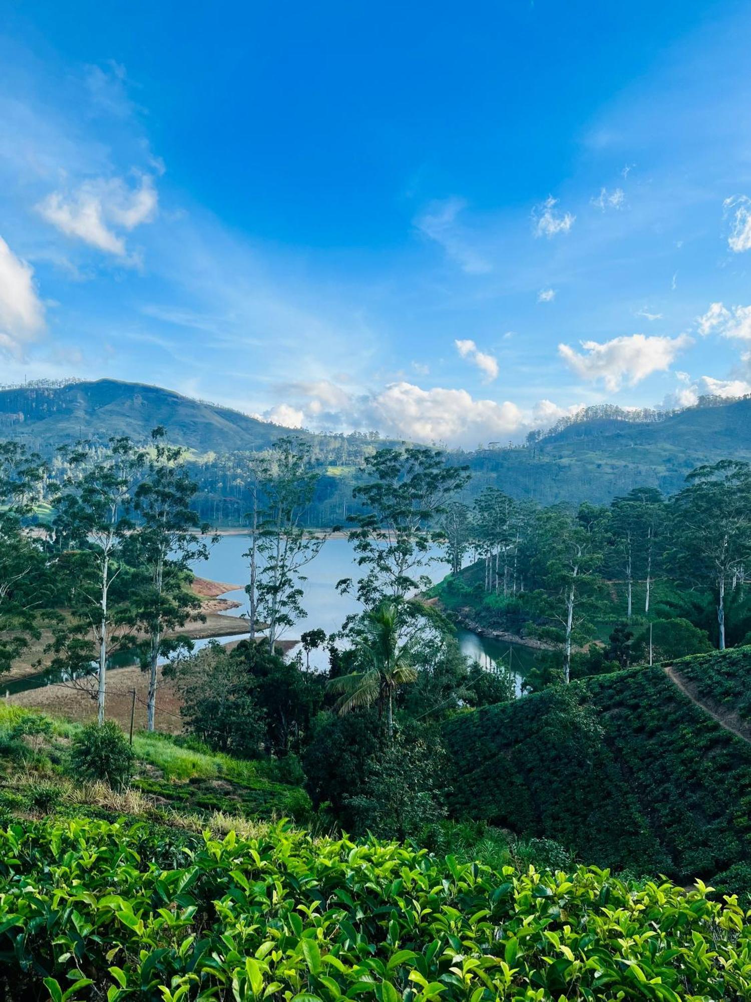 Uga Halloowella Hotel Nuwara Eliya