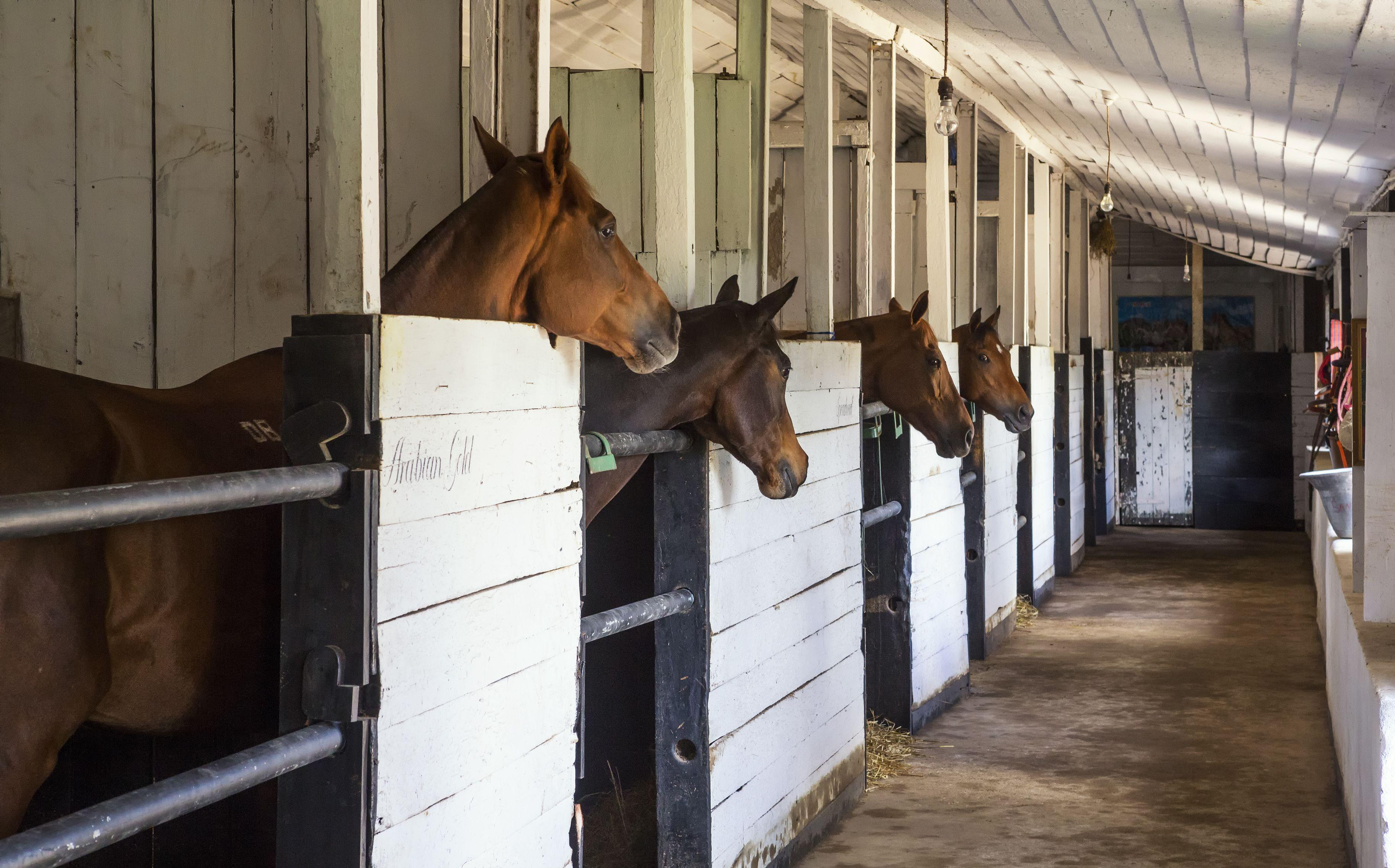 Hill Rise Luxury & Stables By Edwards Collection