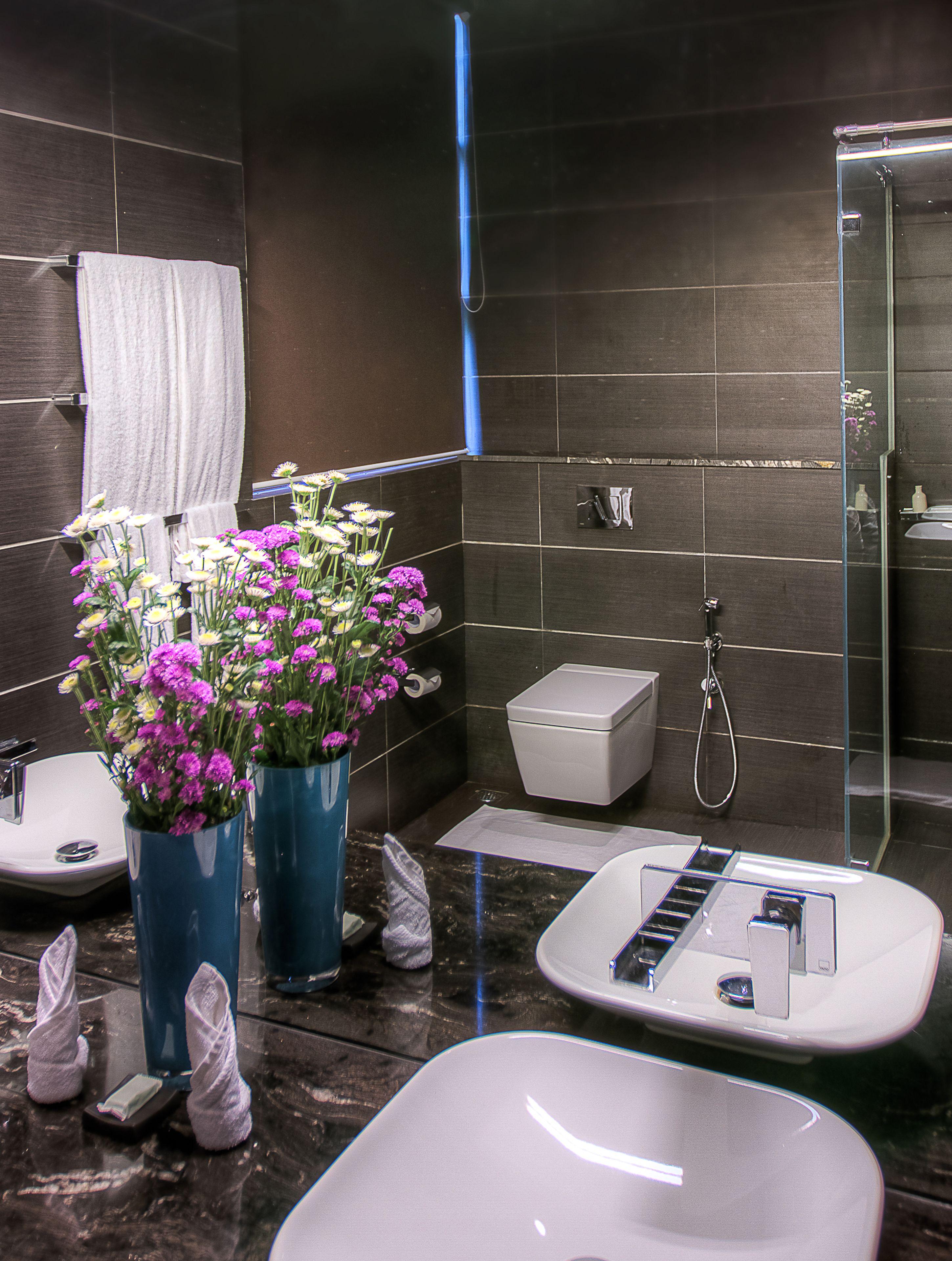 Tea Plant * Nuwara Eliya