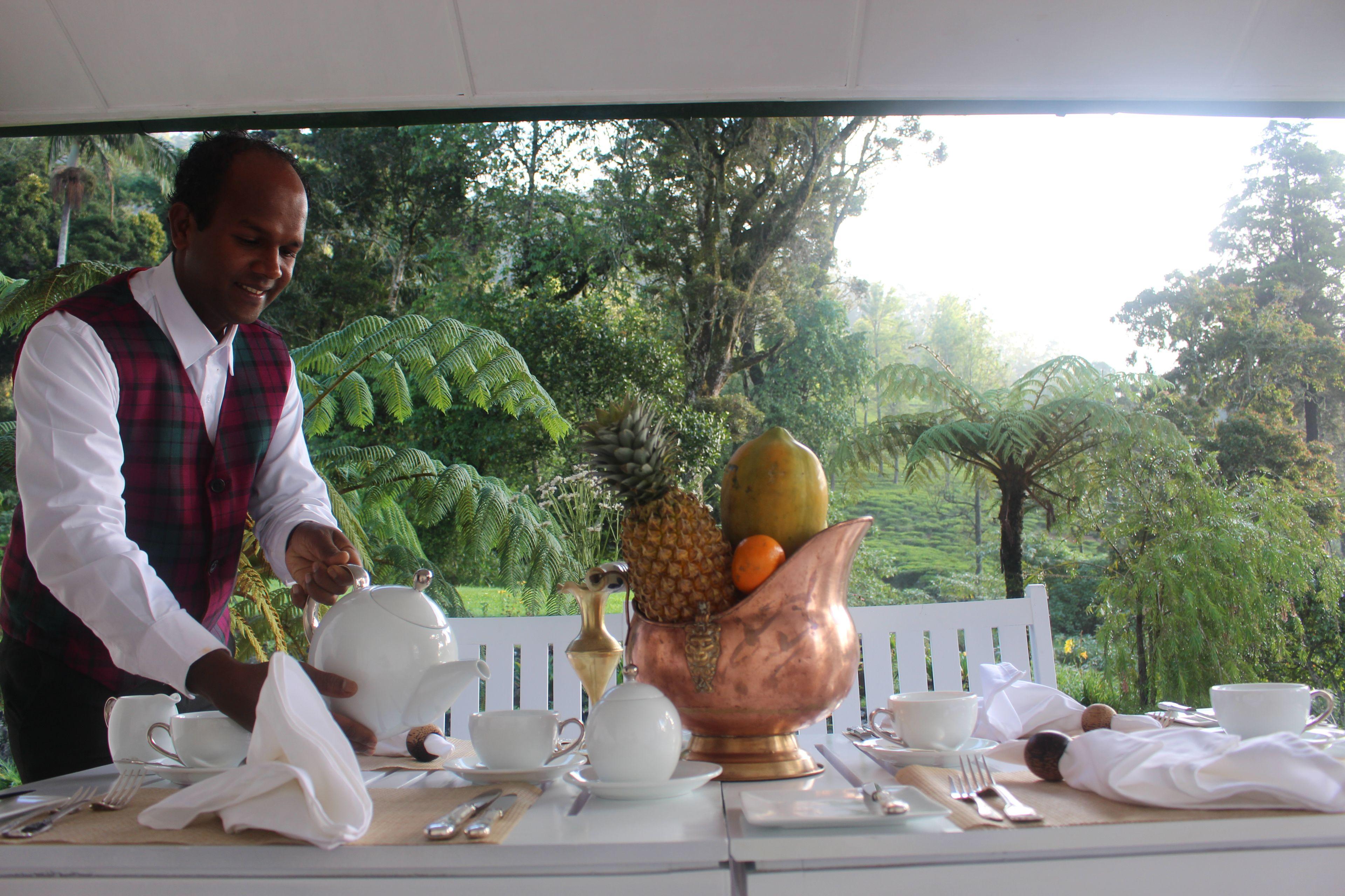 Villa Scottish Planter Bungalow- Thema Collection