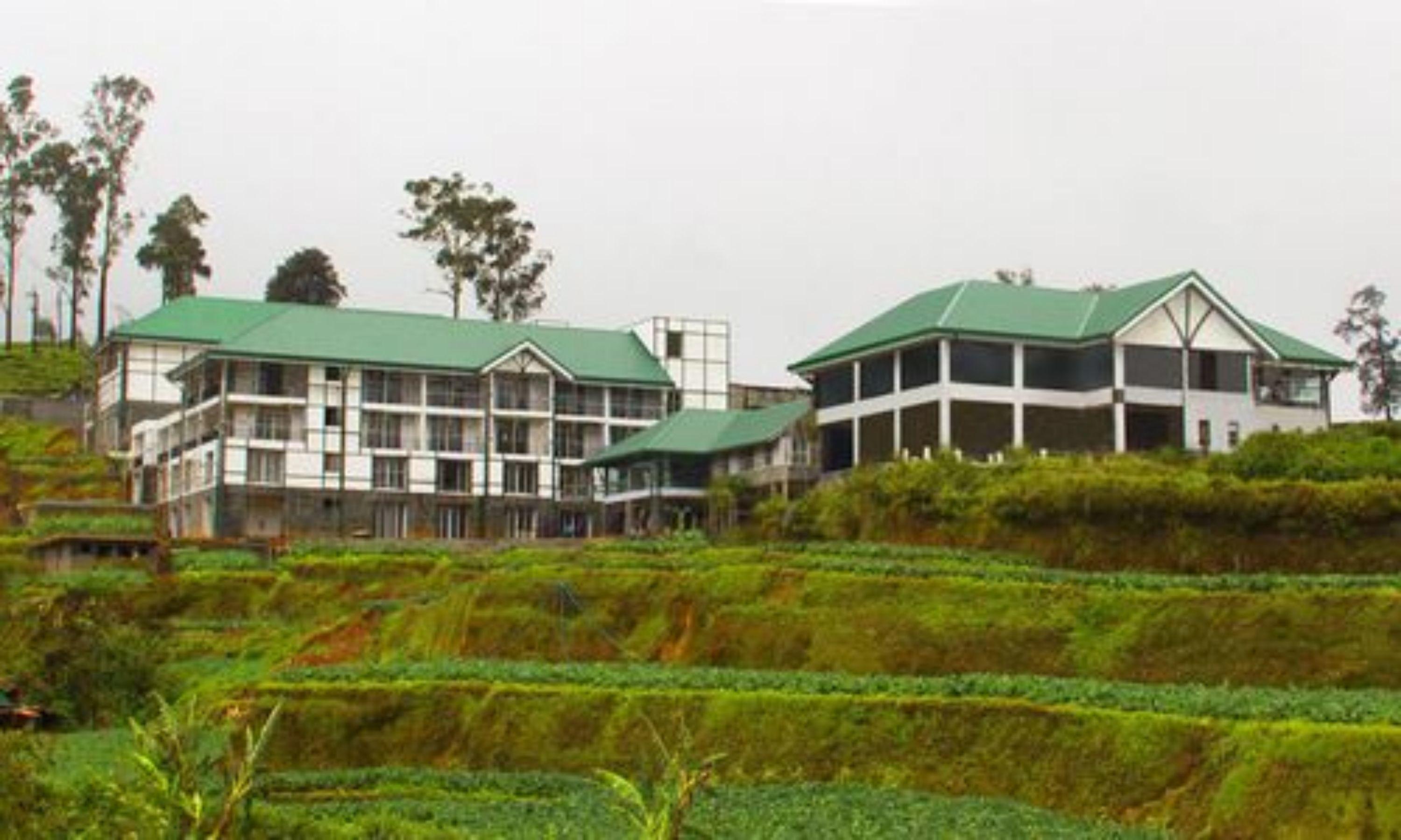 The Blackpool & Nuwara Eliya