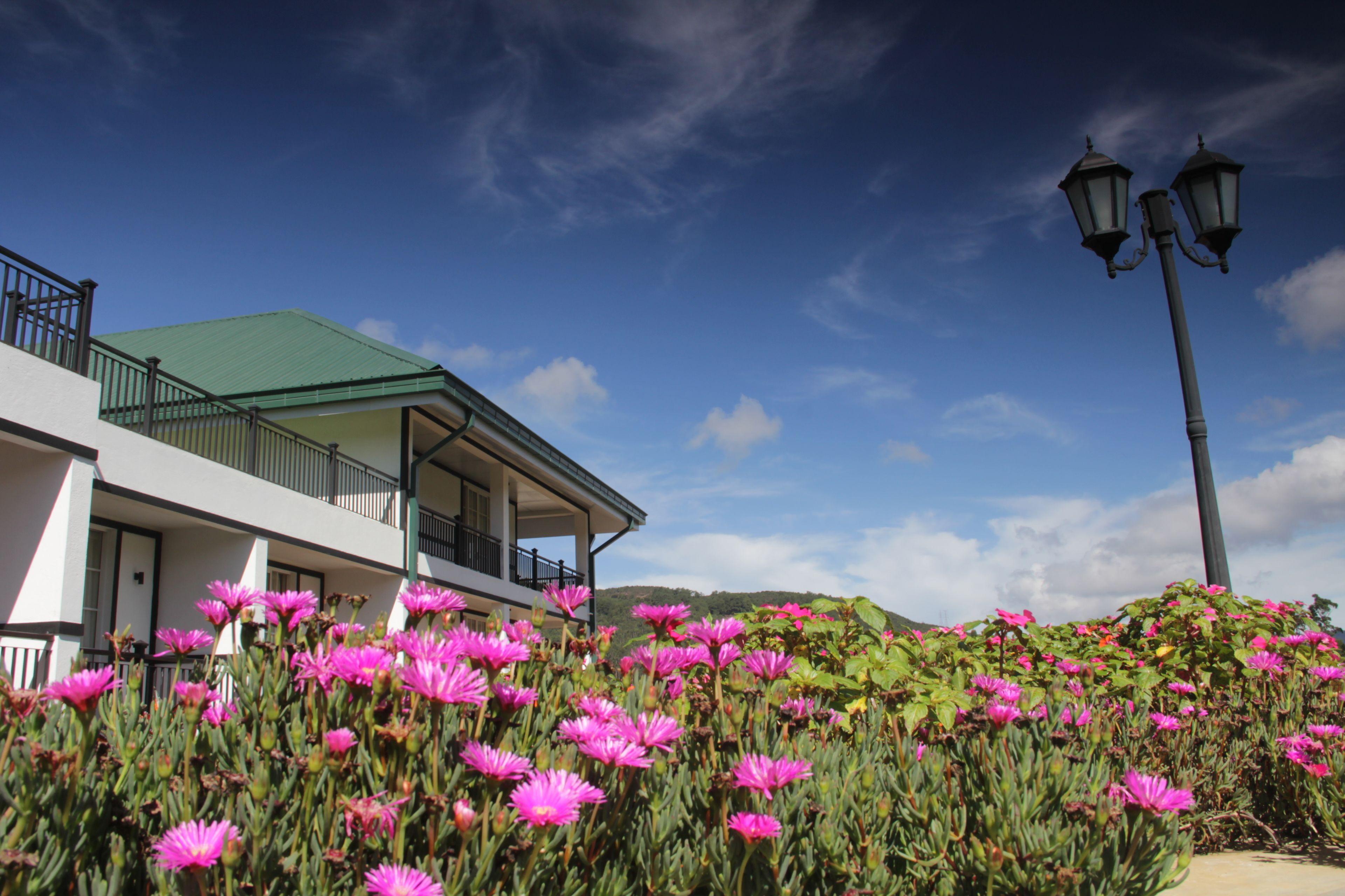 Hotel The Blackpool &