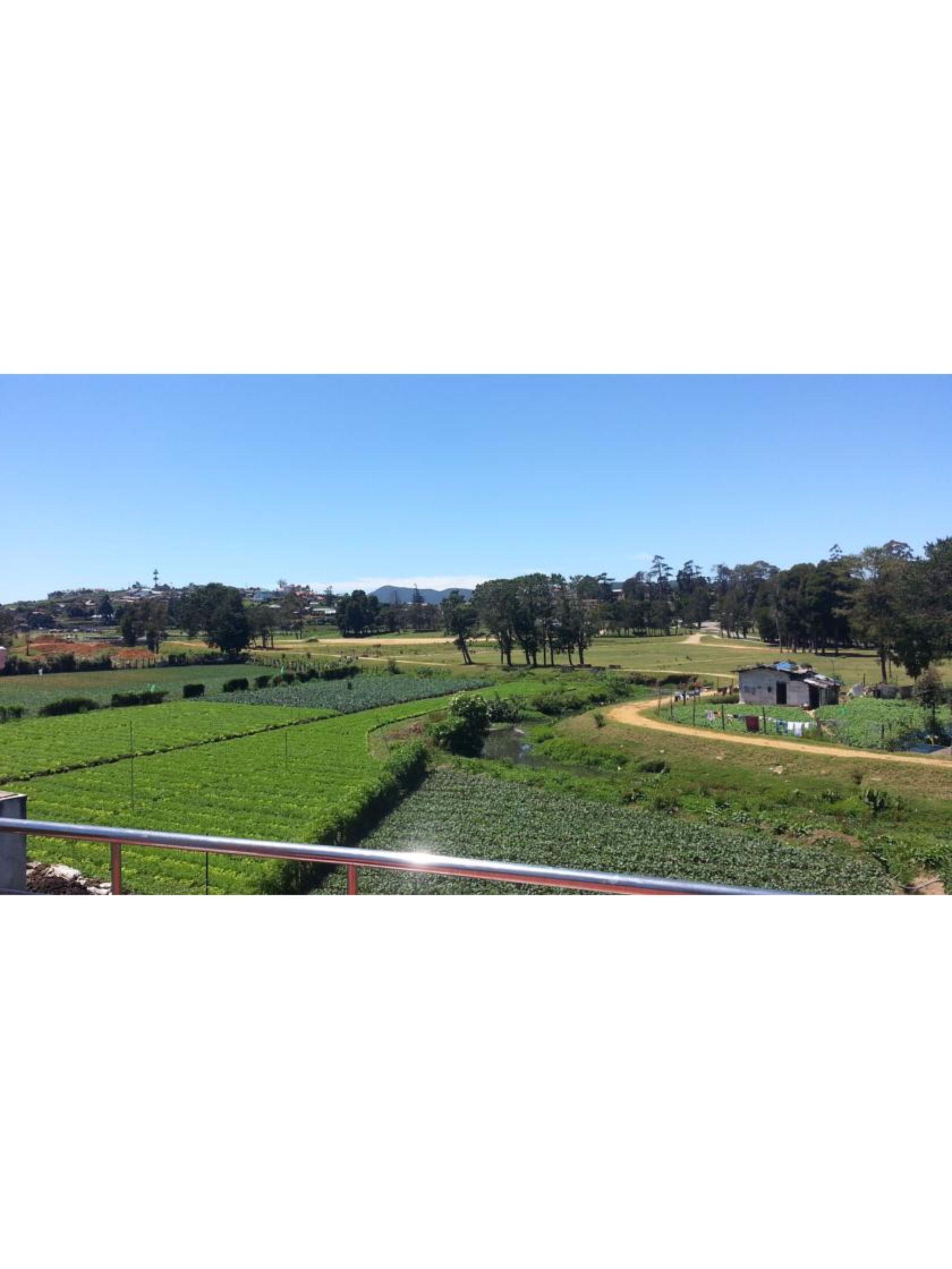 Winkfield * Nuwara Eliya