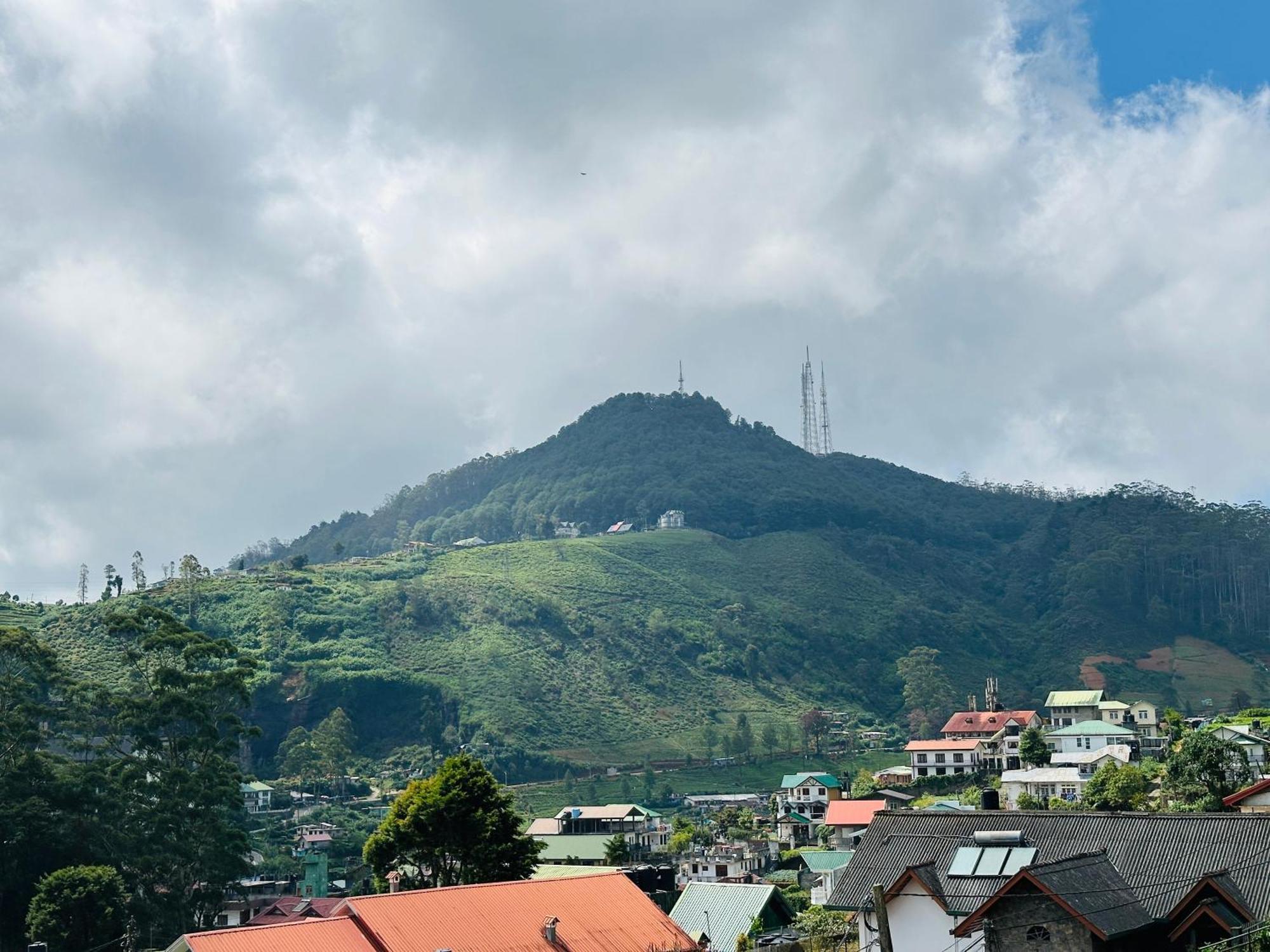 Pigeons Nest Bed & Breakfast 3*