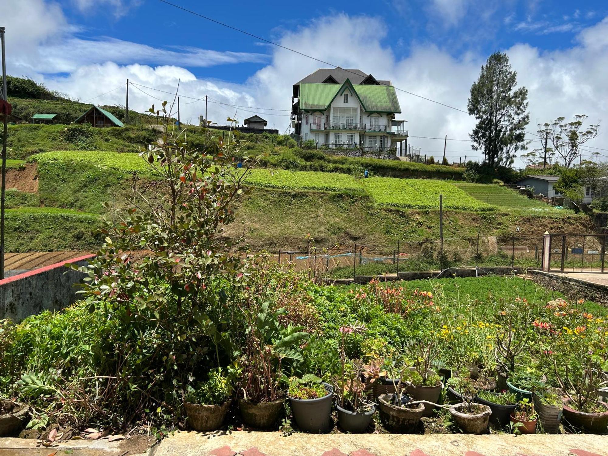 Guest house Chandrasobana 3*