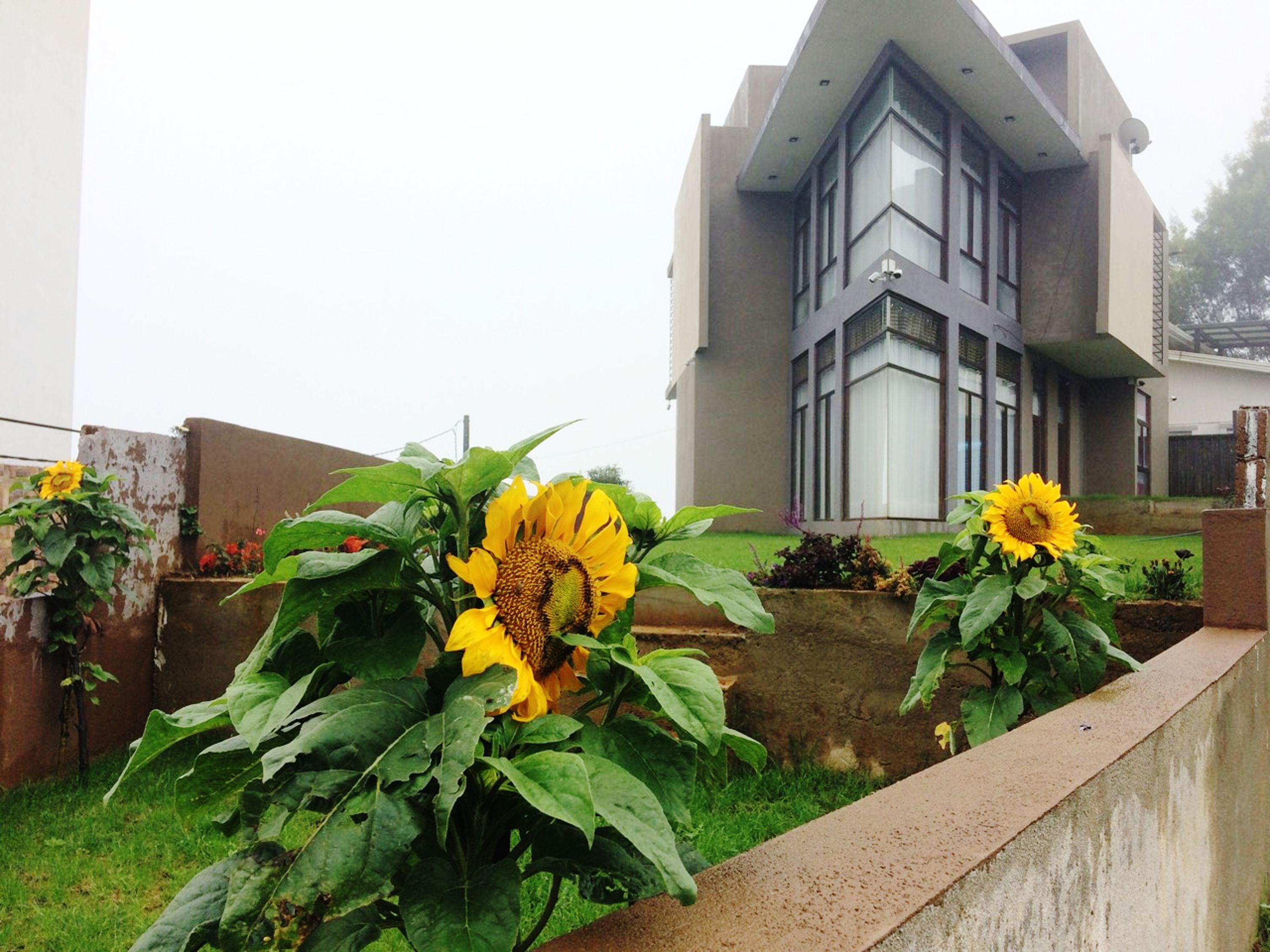 Kingsford Residences