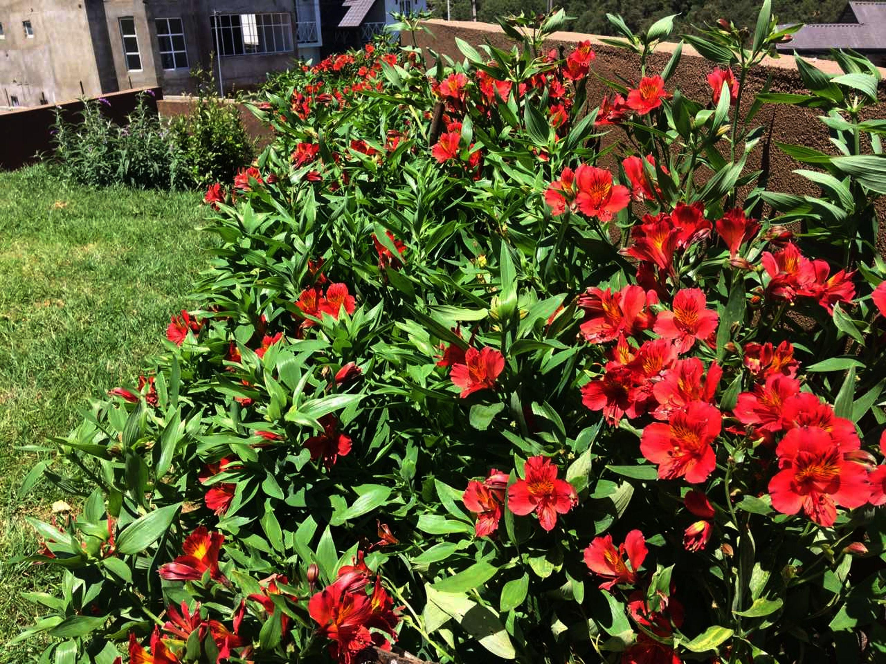 Apartment Kingsford Residences Nuwara Eliya