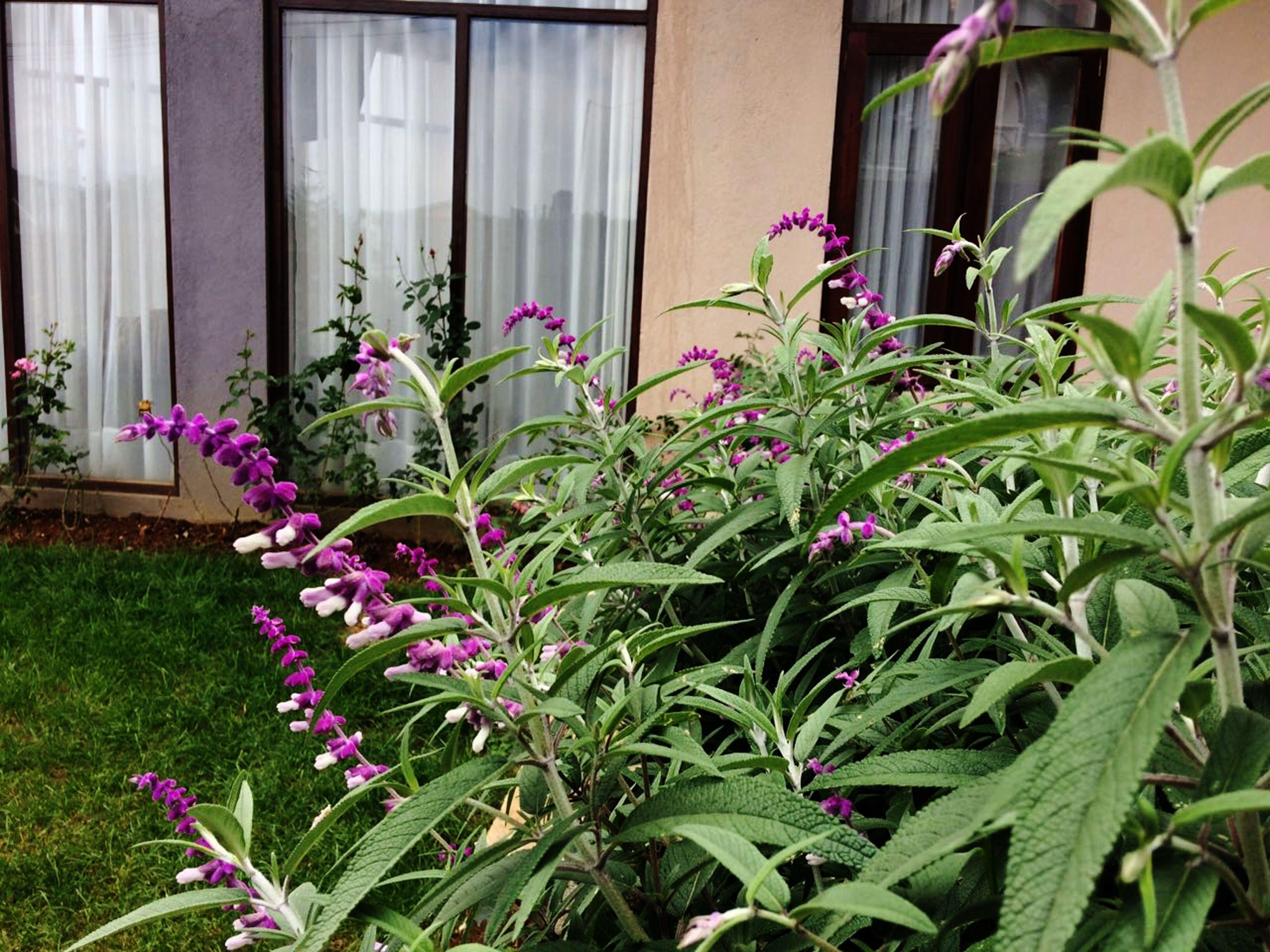 Apartment Kingsford Residences *