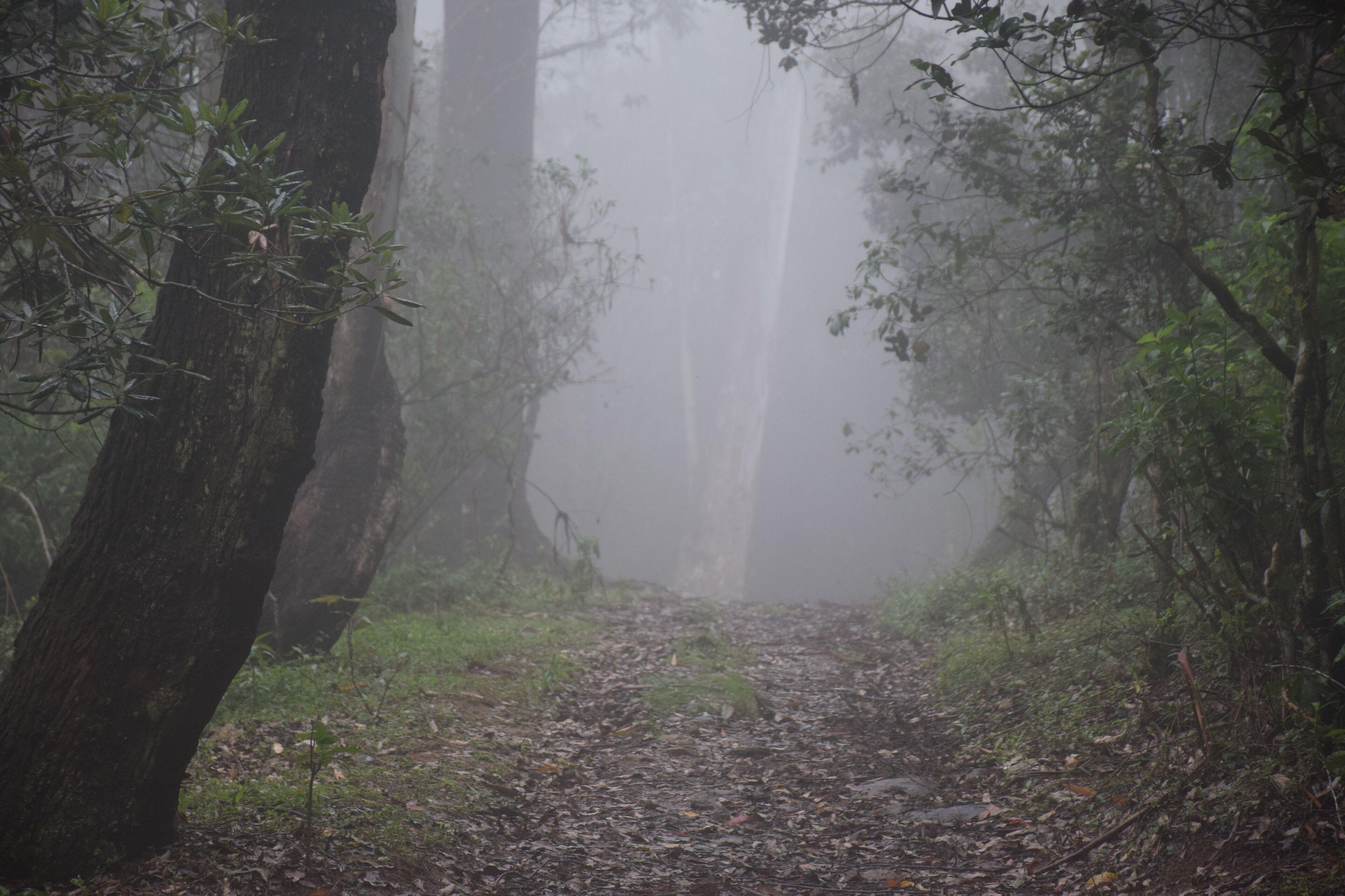 Manudi Glenfallsedge Rest Guest house