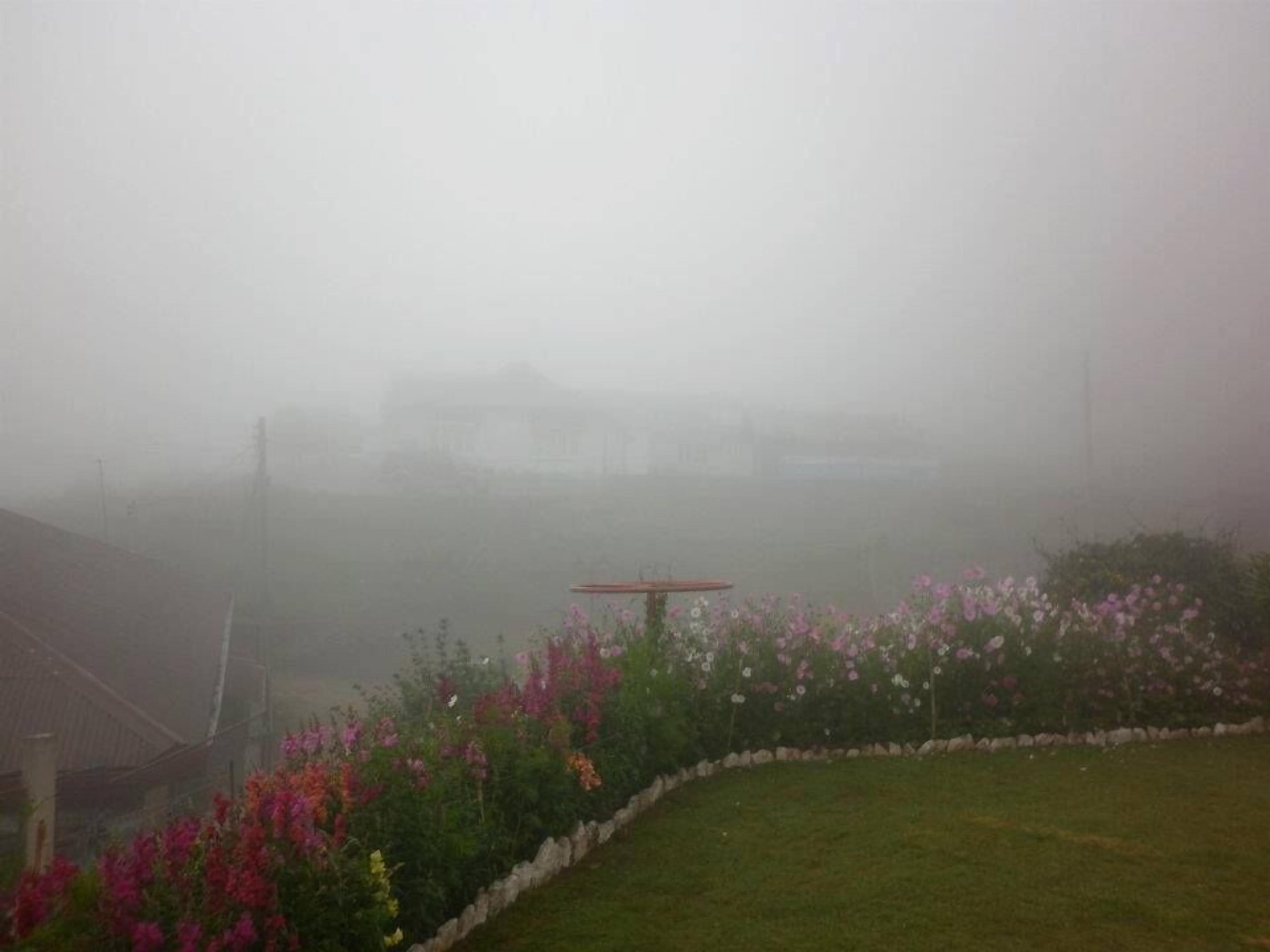 Tea Bush 3* Nuwara Eliya