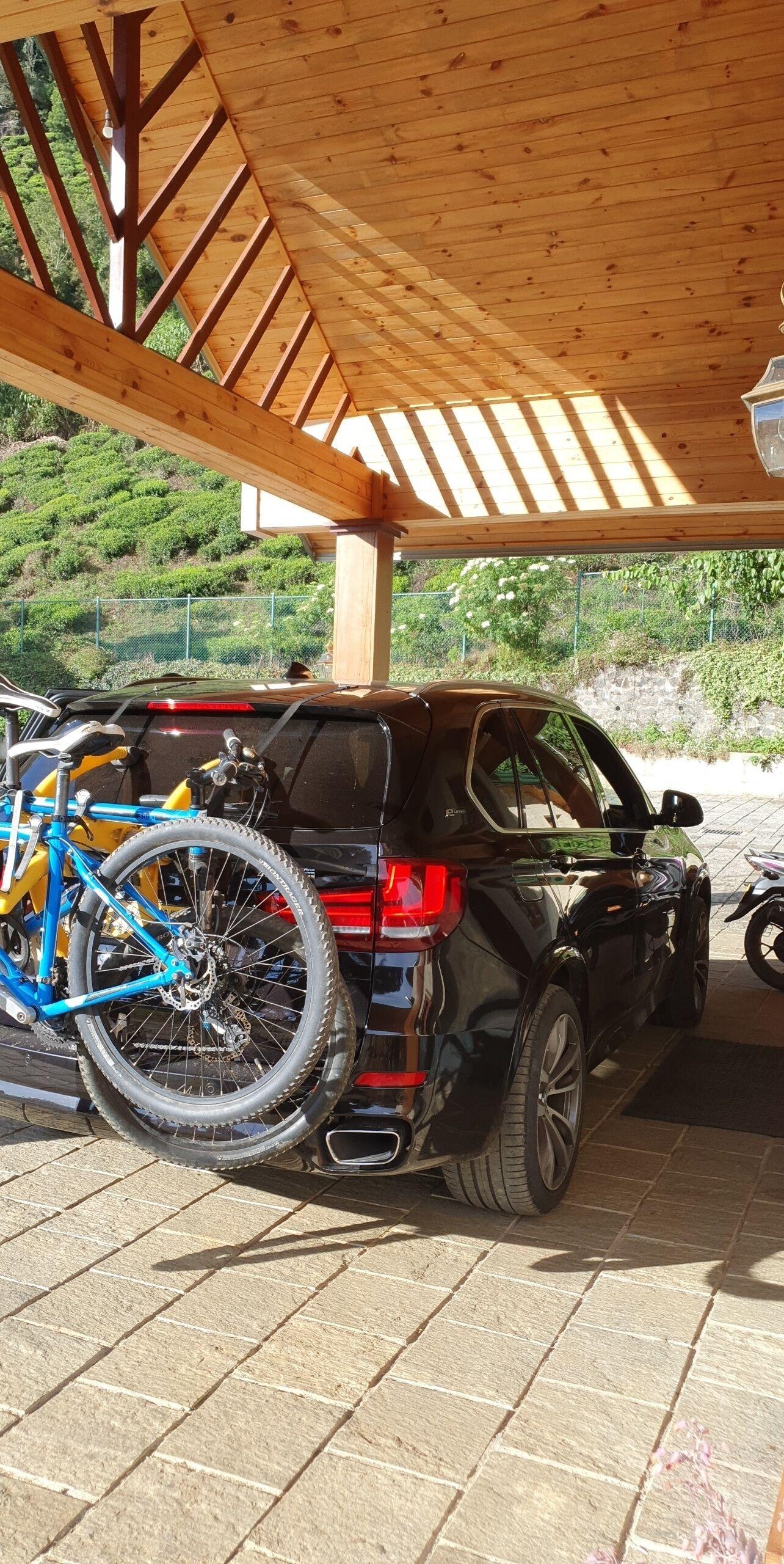 Tea Bush Nuwara Eliya