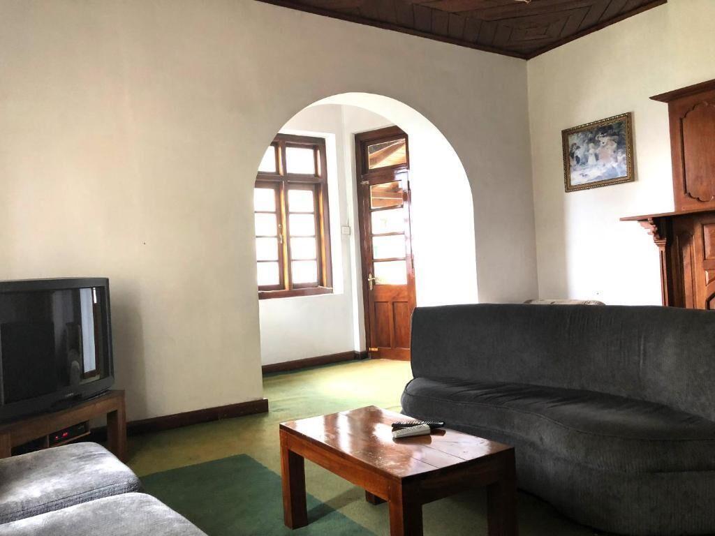 Tea Bush Nuwara Eliya