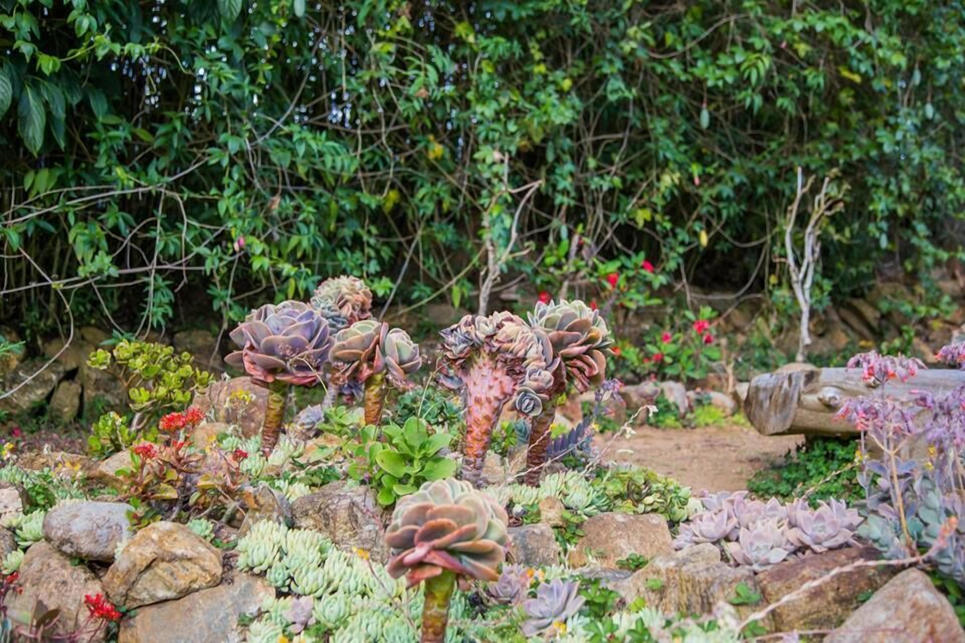 Ferncliff Guest house