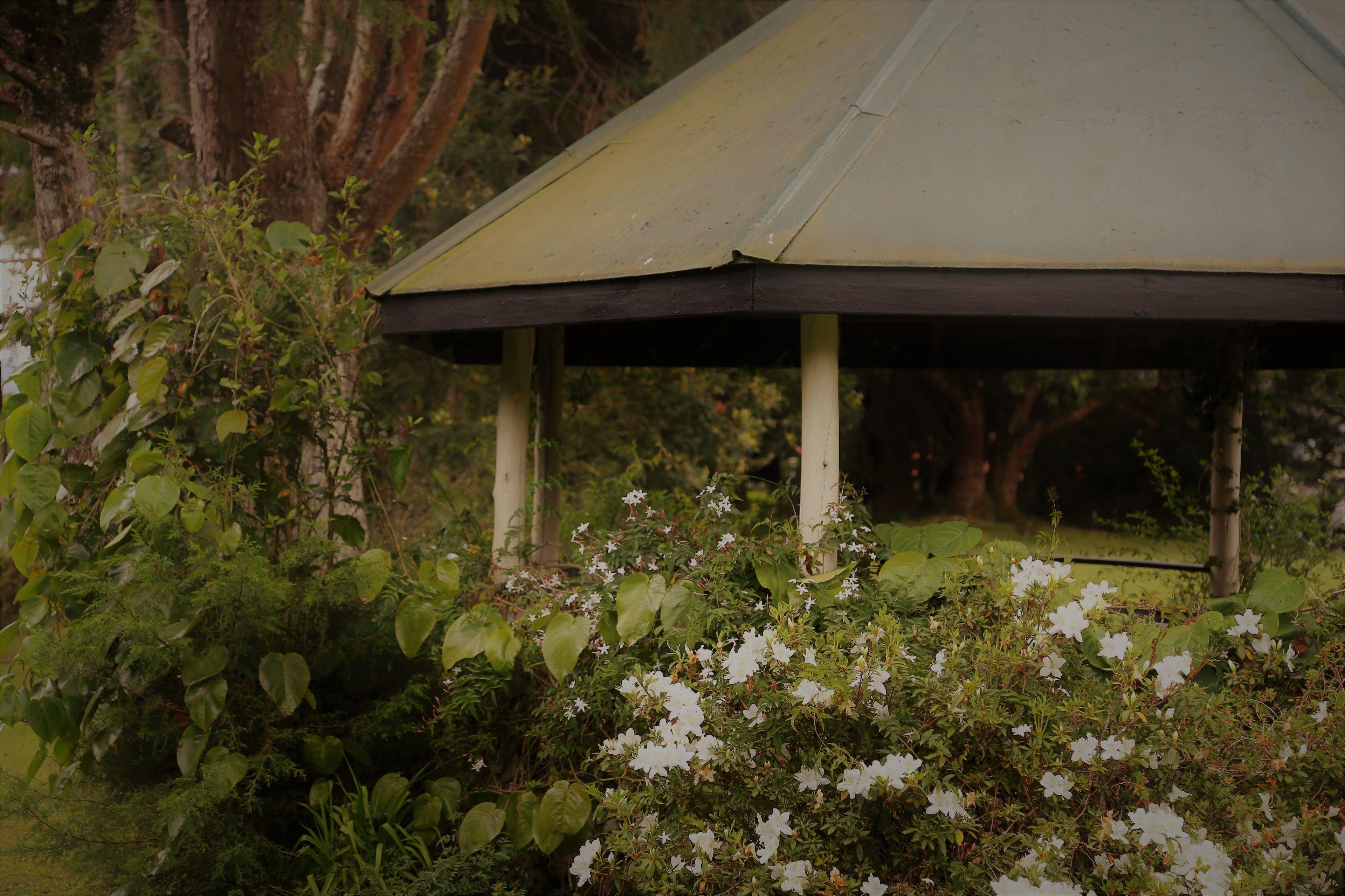 Ferncliff Guest house Nuwara Eliya