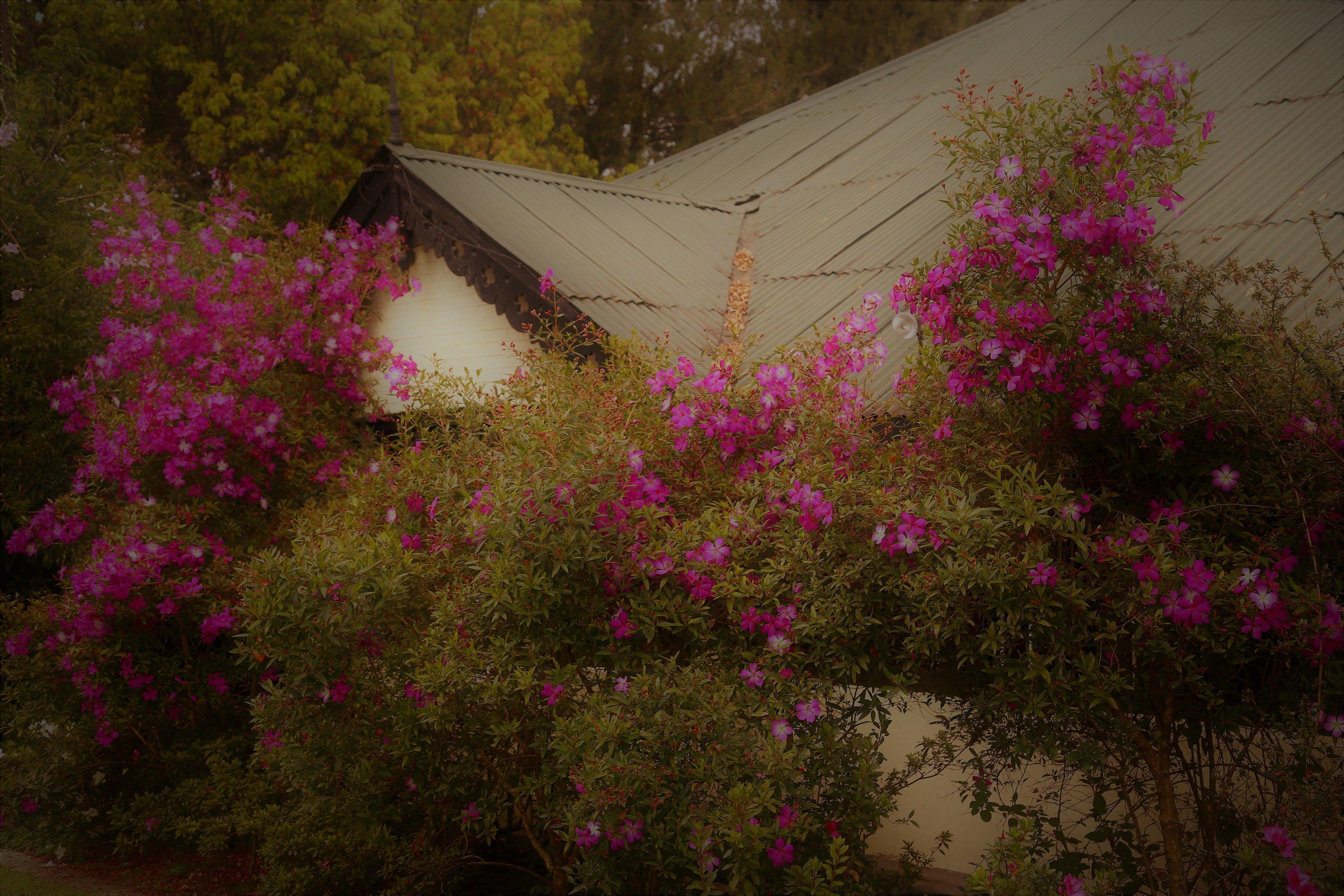 Ferncliff Guest house 4*