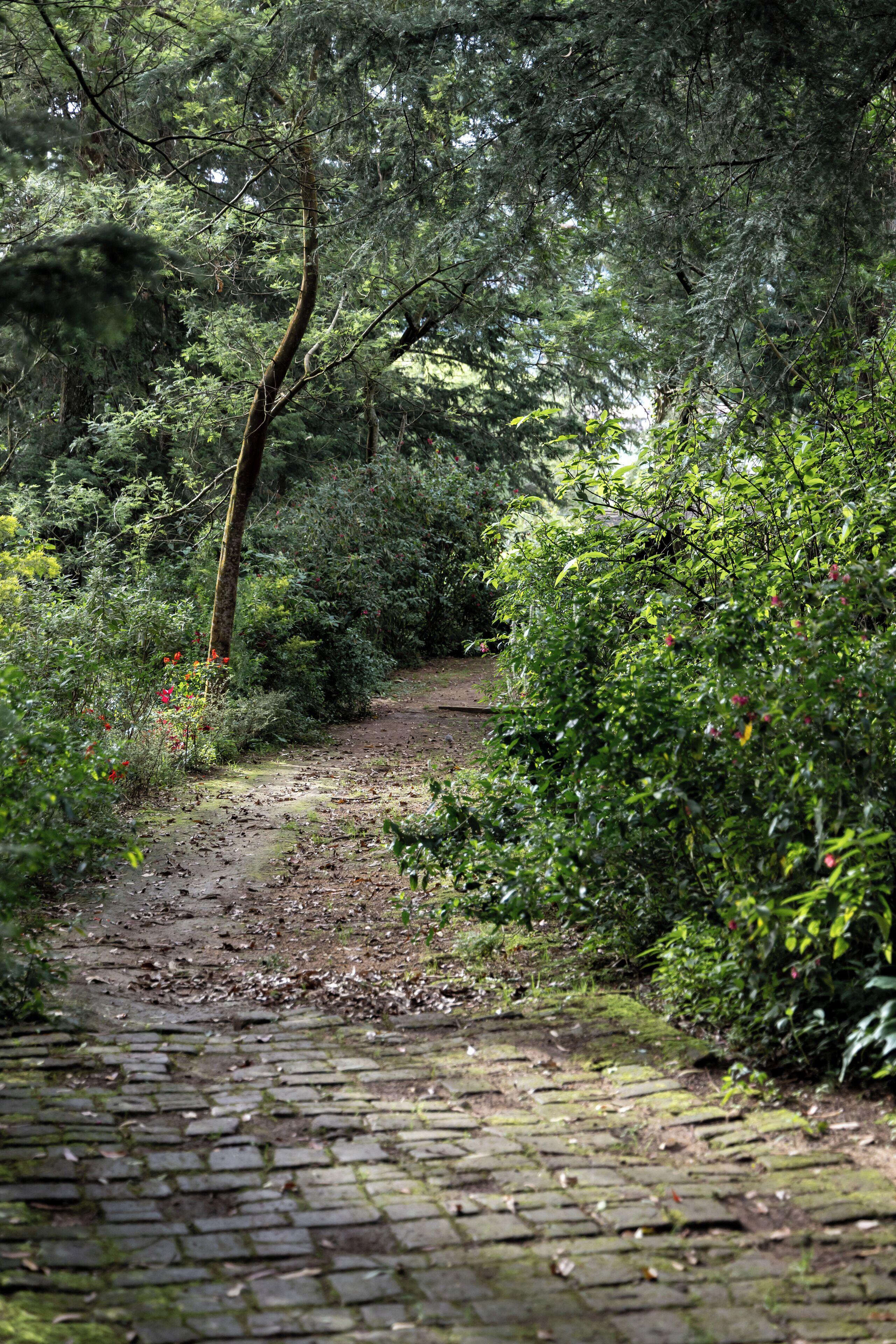 Ferncliff 4* Nuwara Eliya