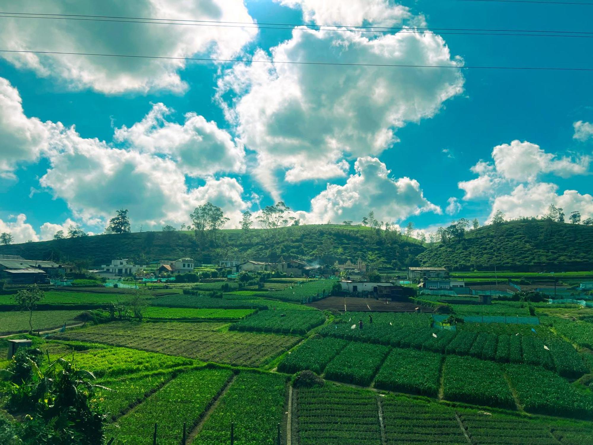 Little England Hotel Nuwara Eliya