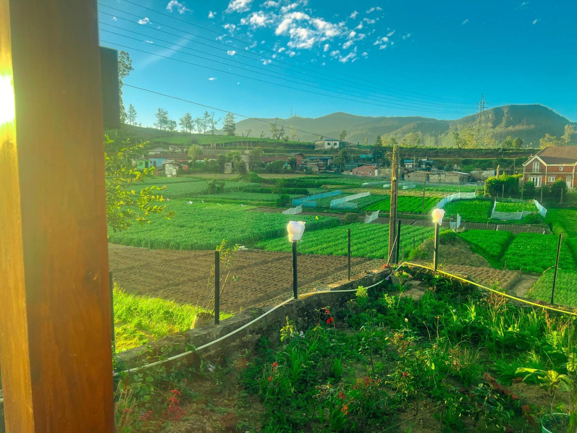 Hotel Little England *