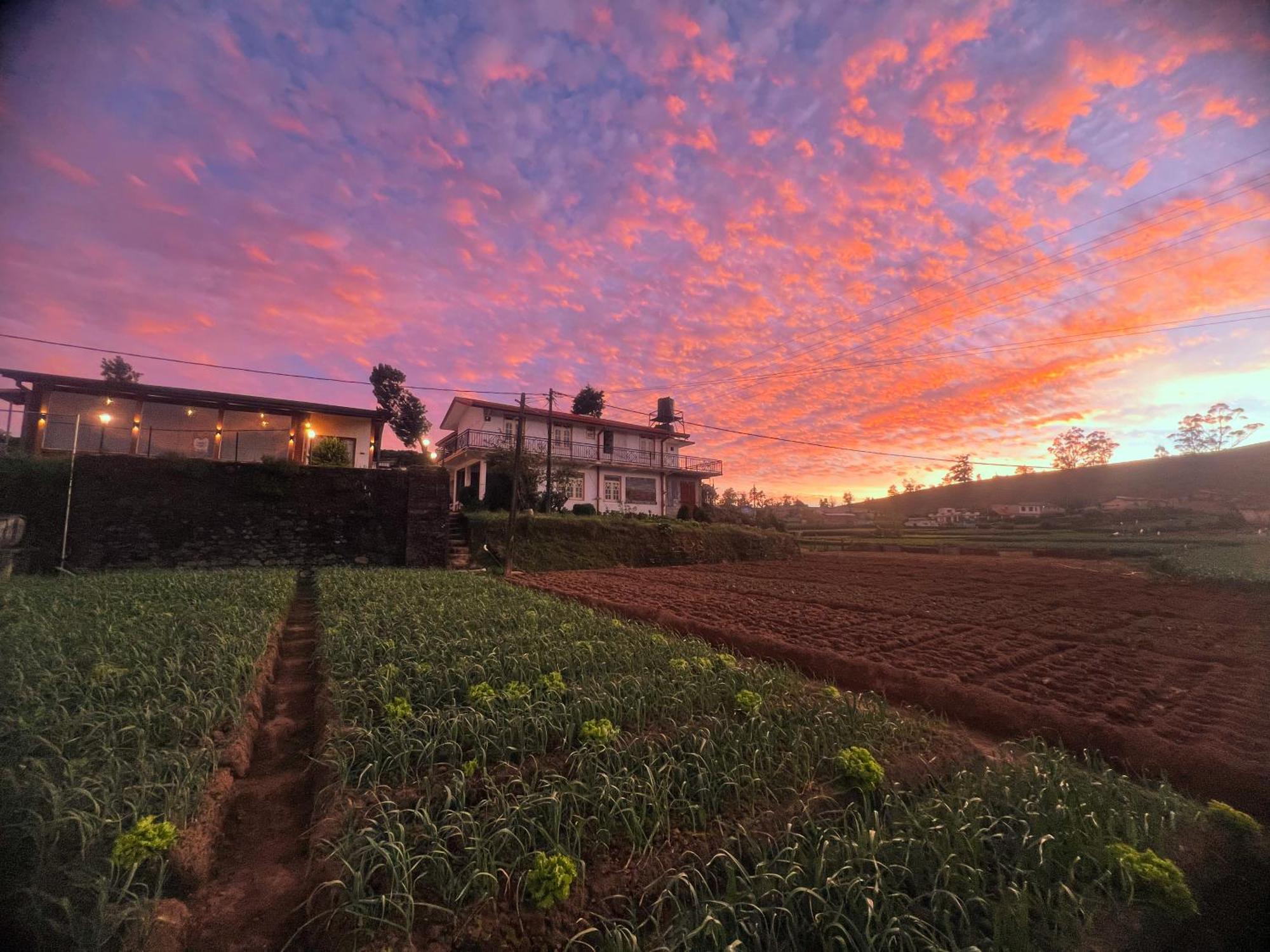 Little England Hotel