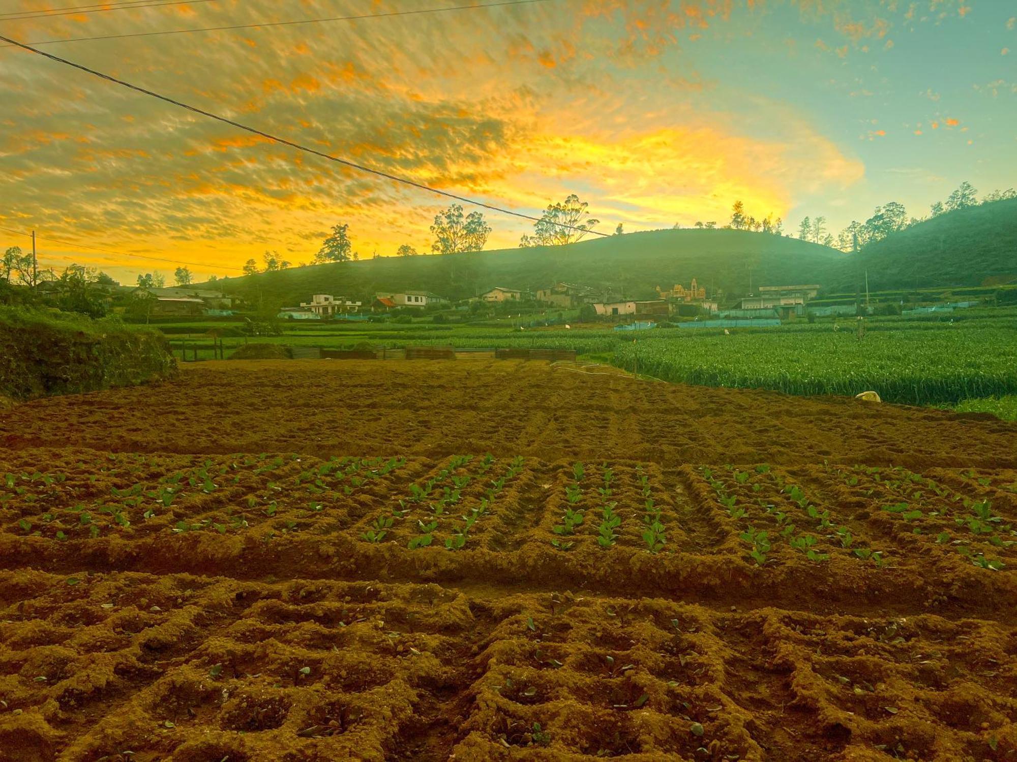 Hotel Little England