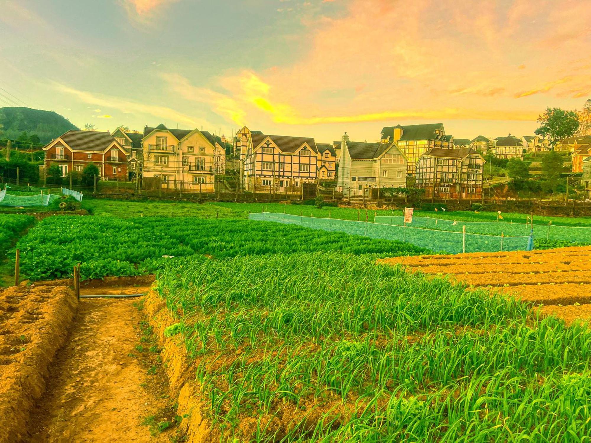 Hotel Little England Nuwara Eliya