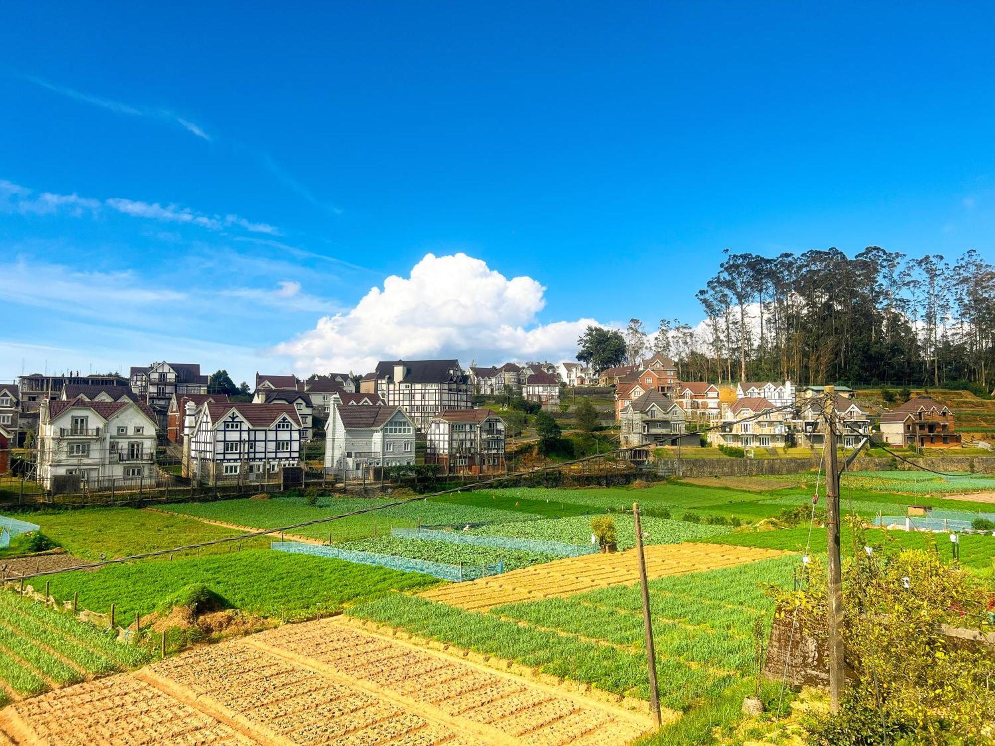 Little England Hotel