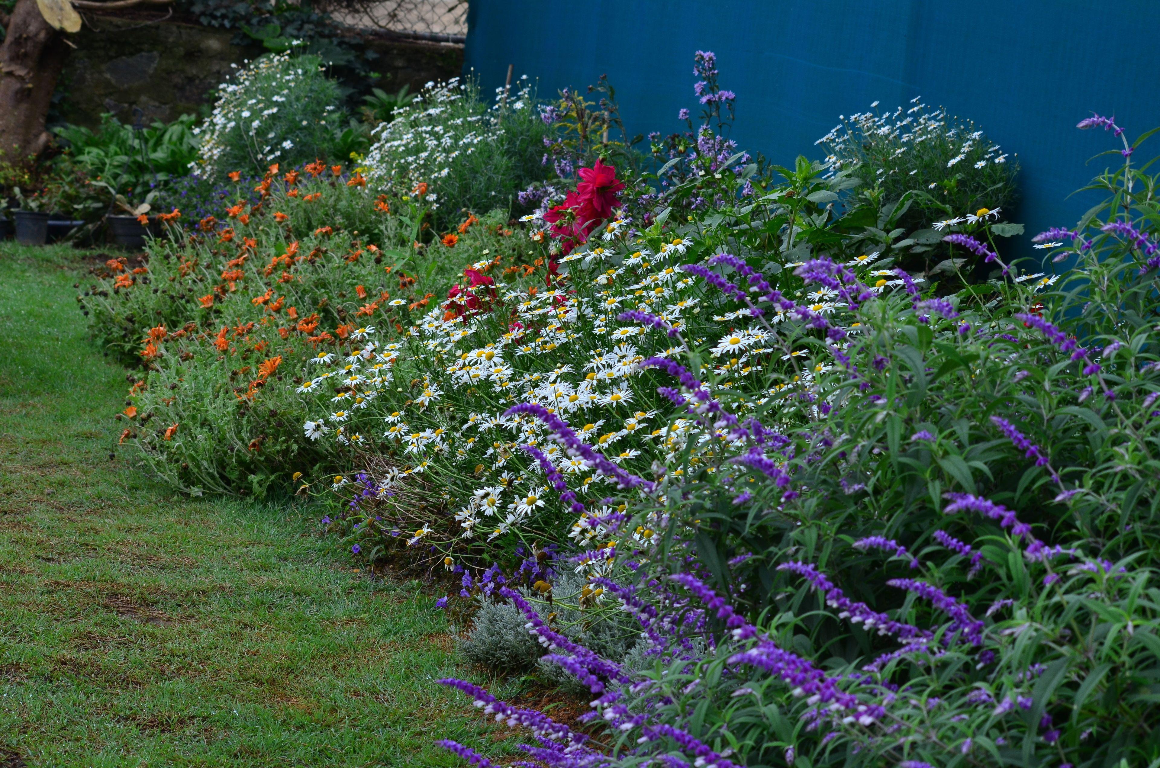 Ripon Grand Hill By Ehi Nuwara Eliya