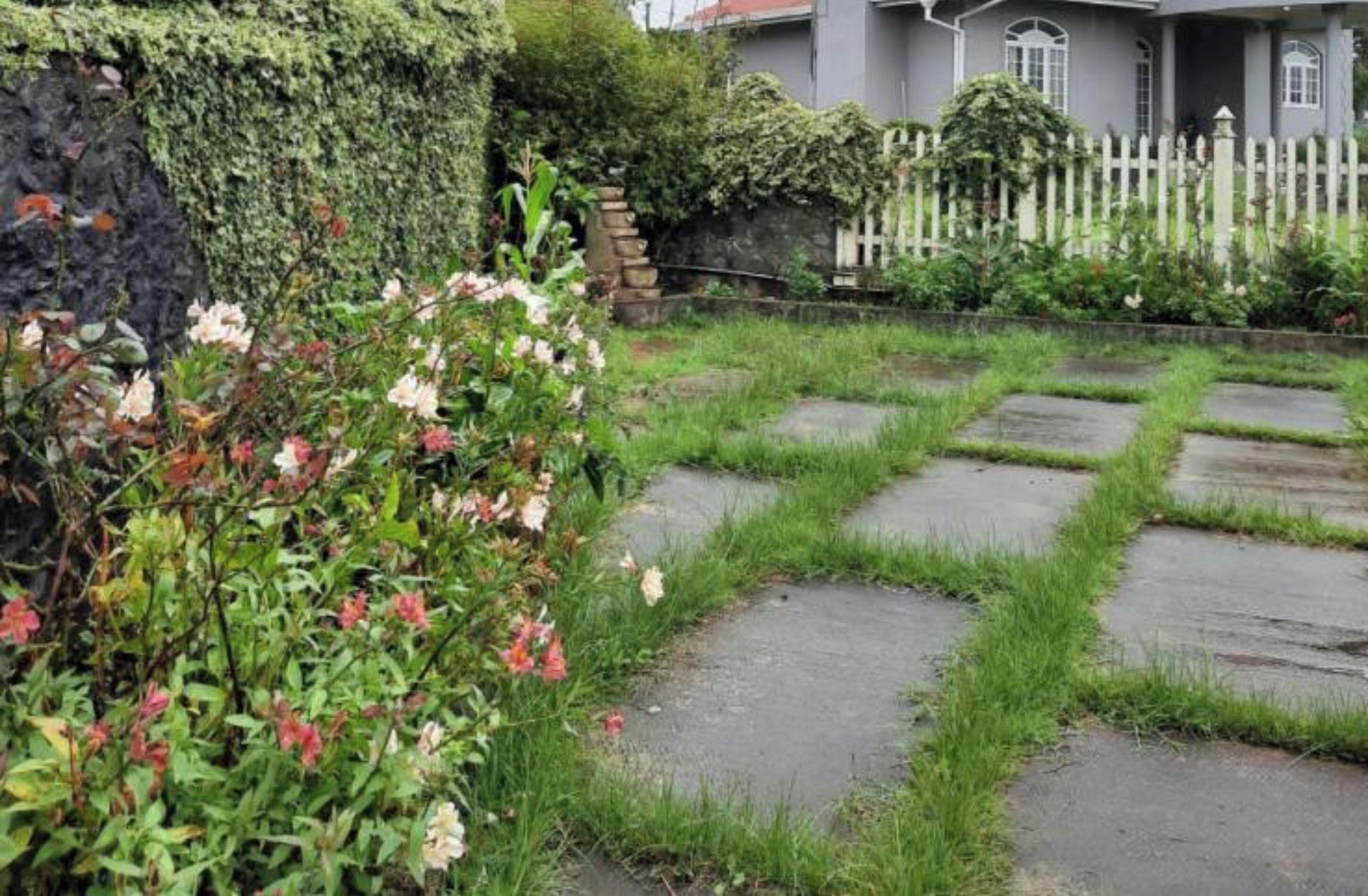 Acacia Guest house 3*