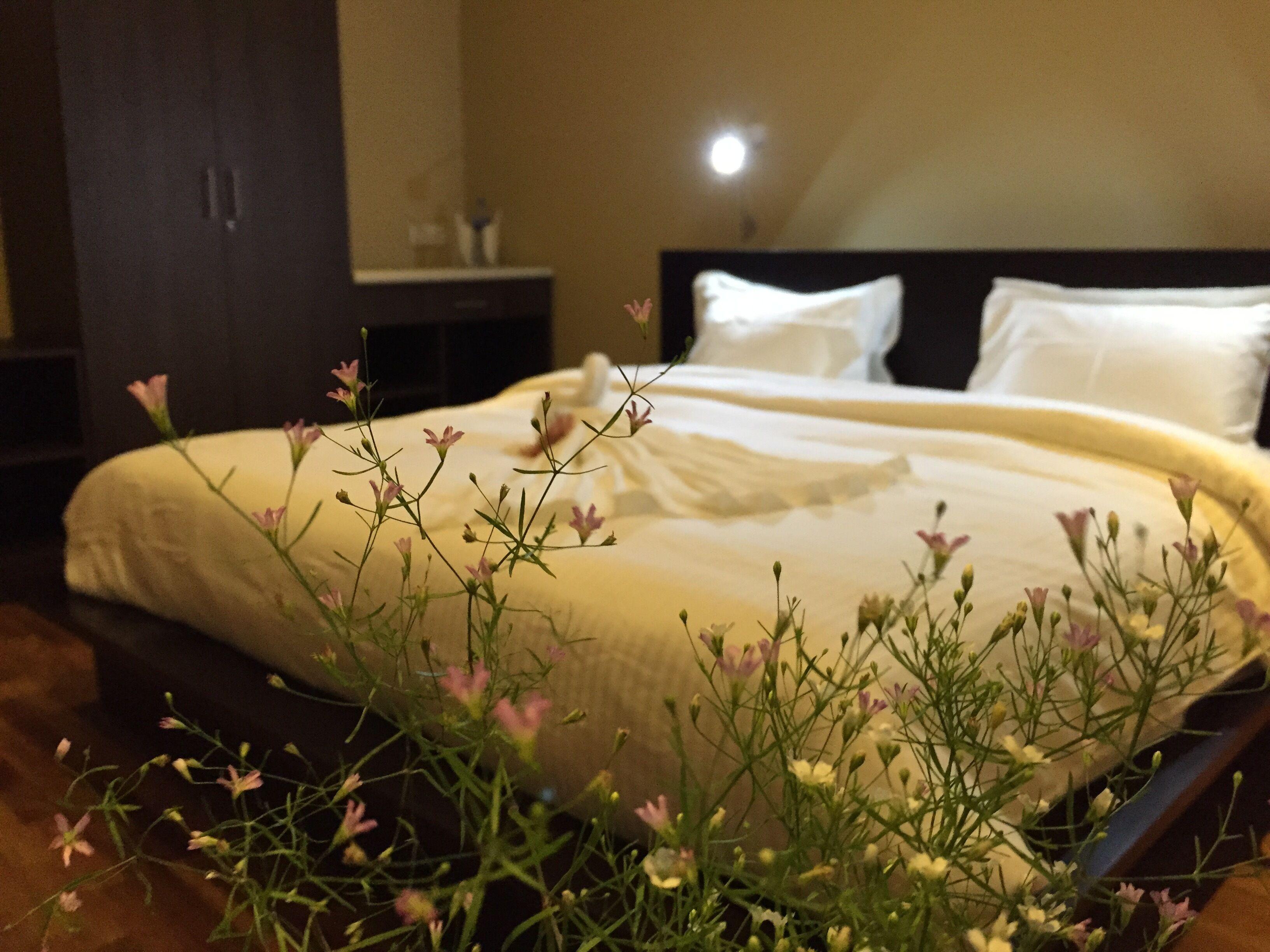 Panorama View Hotel 3*