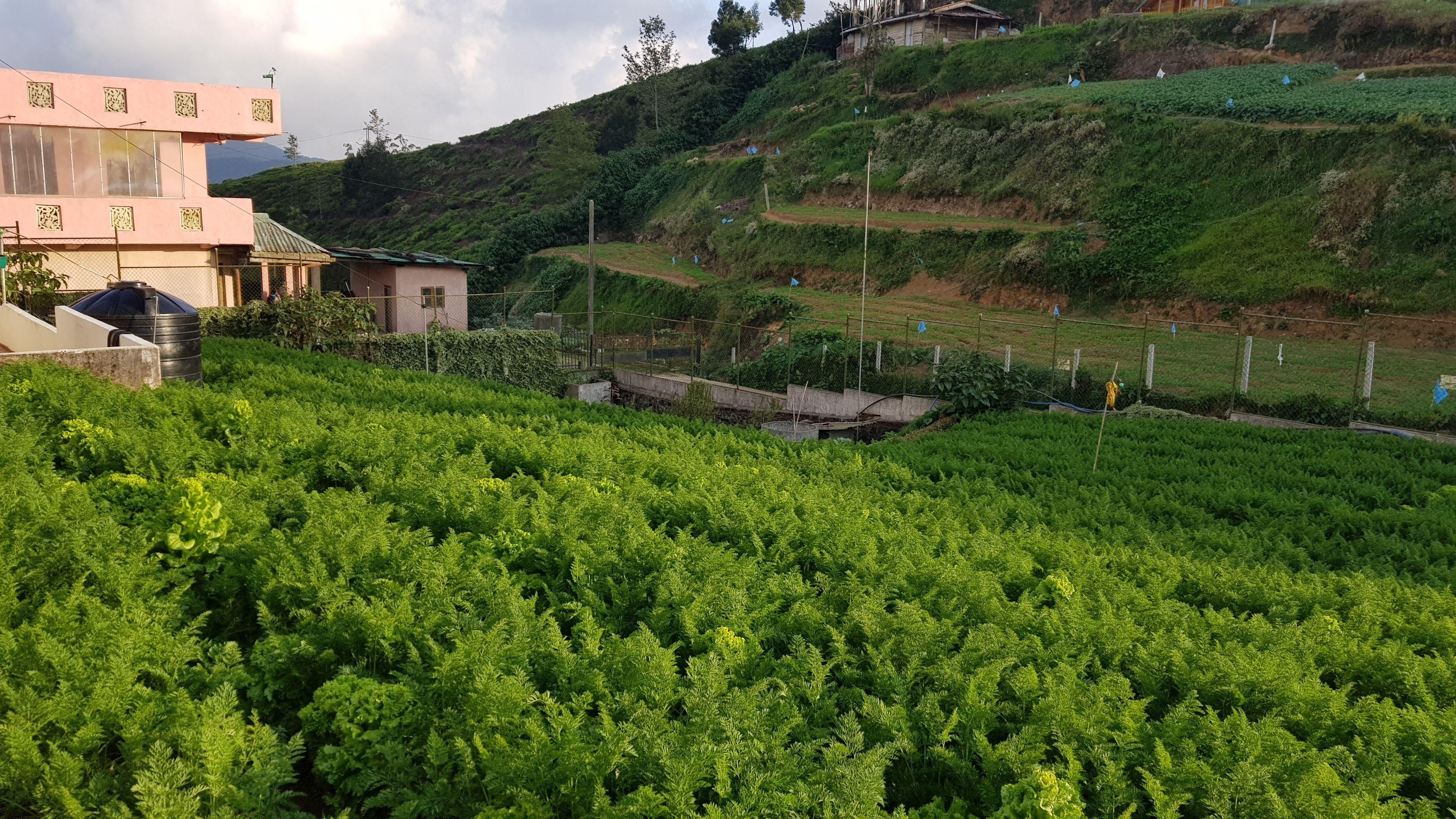 Guest house Chandrasobana