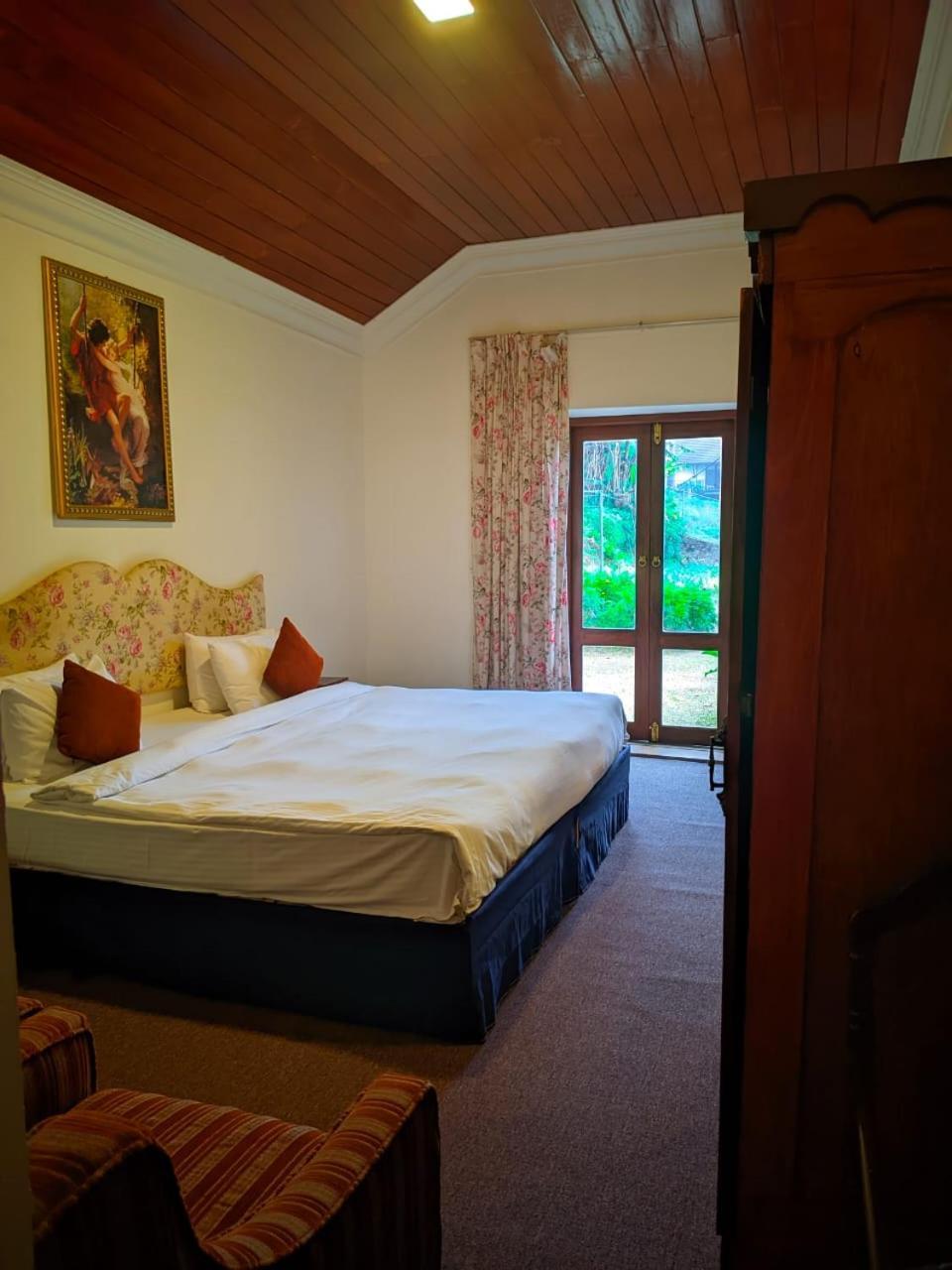 Tea Bush Nuwara Eliya