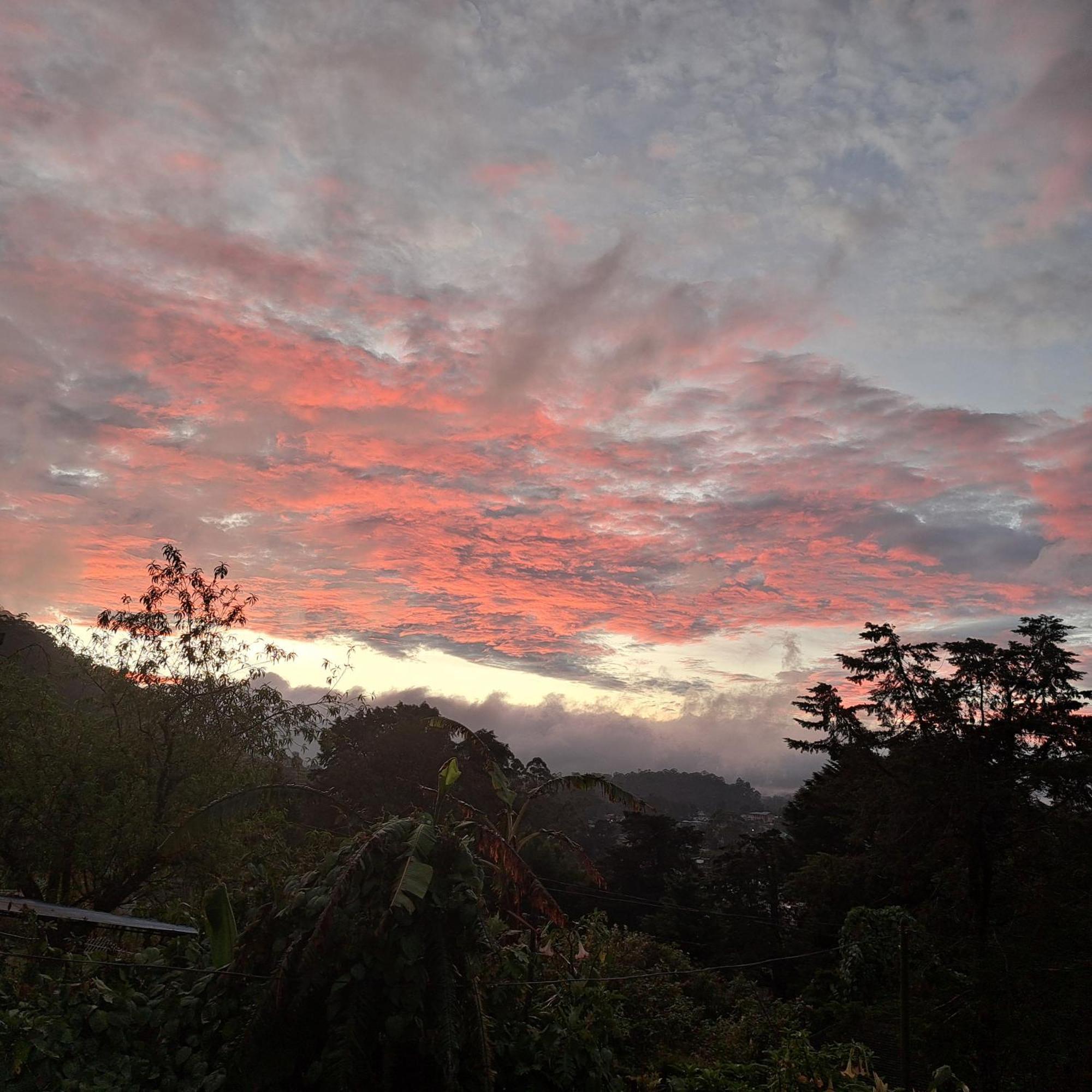 Guest house Redwood Nuwara Eliya