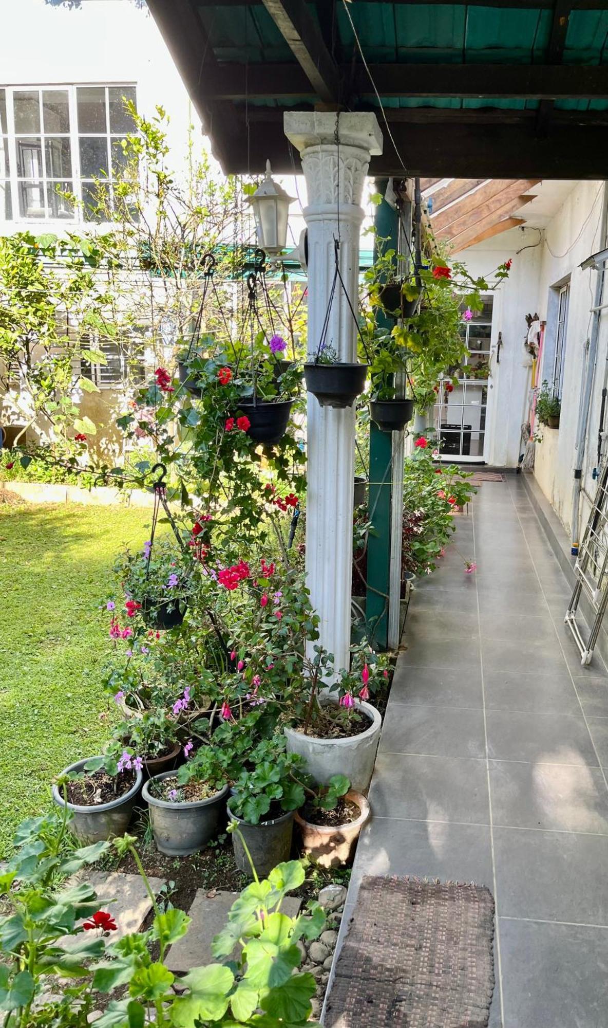 Medalin Harmony Heaven Apartment