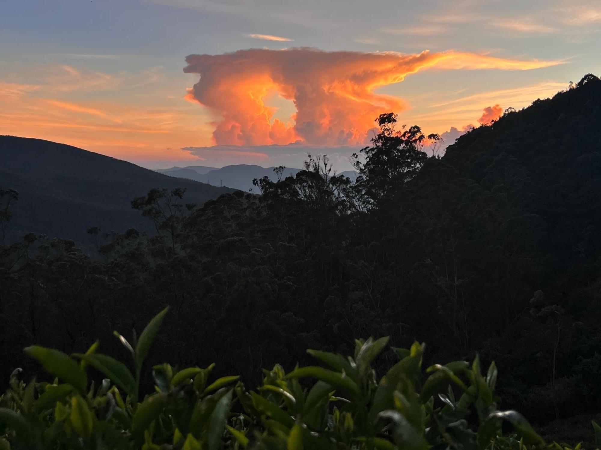 Rustique House Dbl Homestay