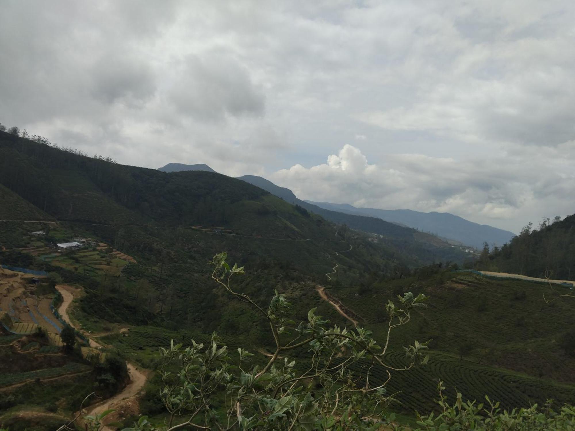 Ambewela Rangers Hotel 4*