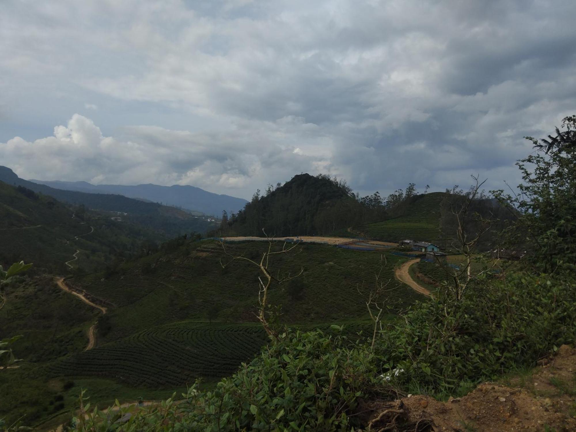 Hotel Ambewela Rangers