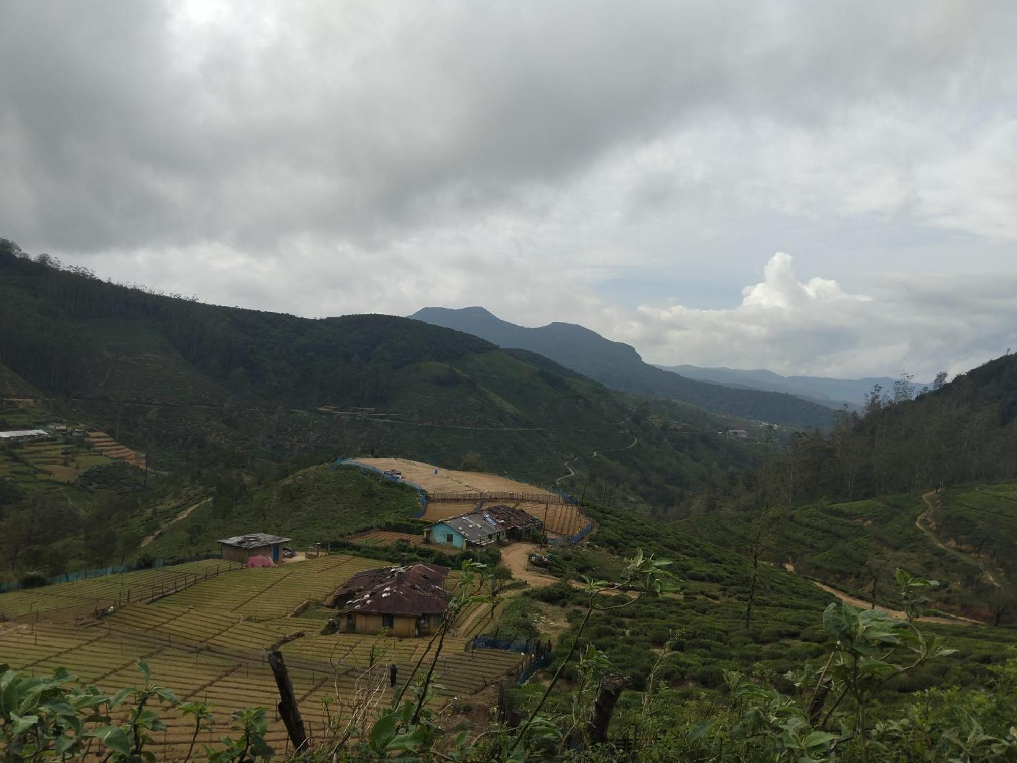 Hotel Ambewela Rangers 4*