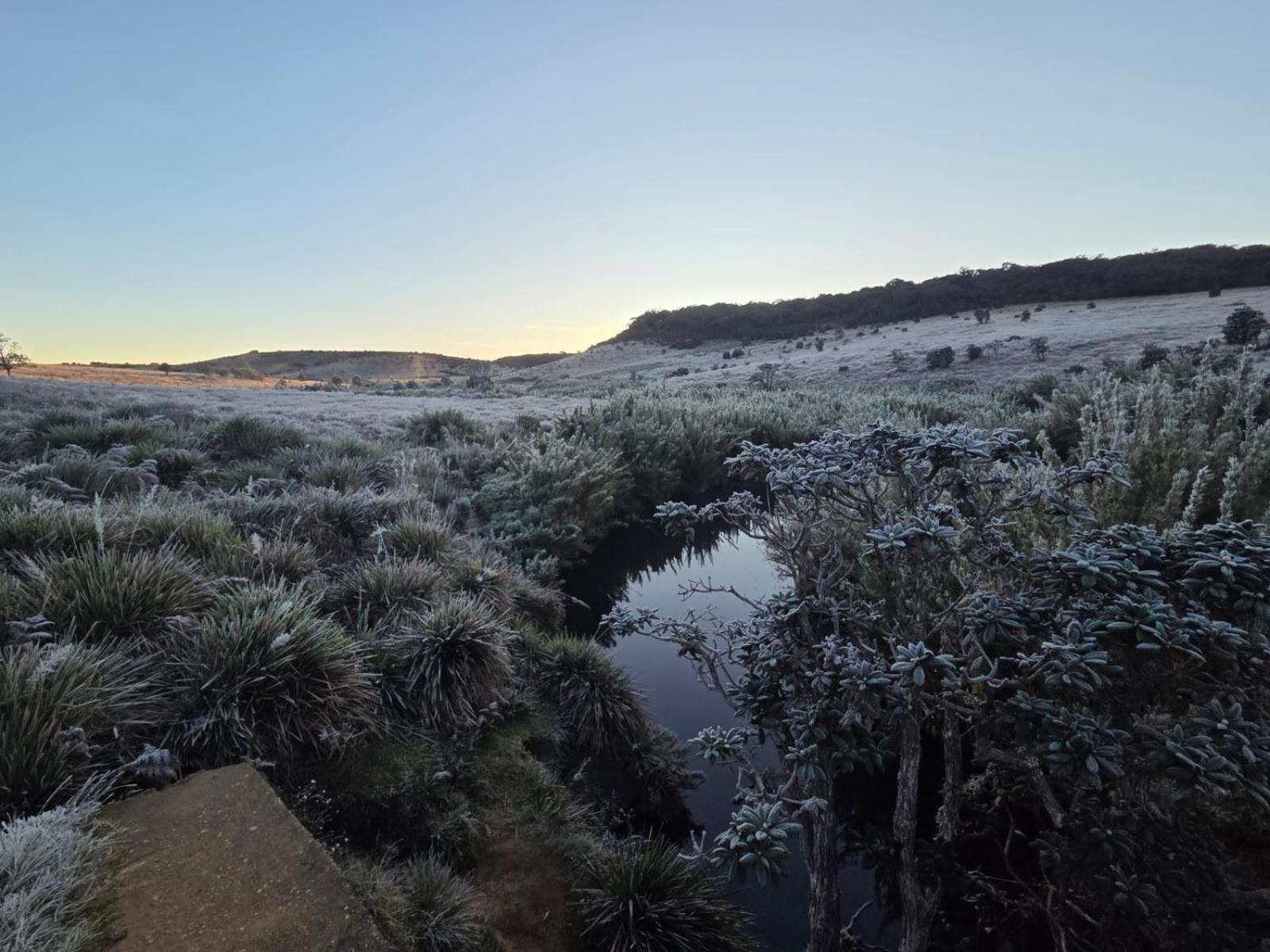 Ambewela Rangers Hotel