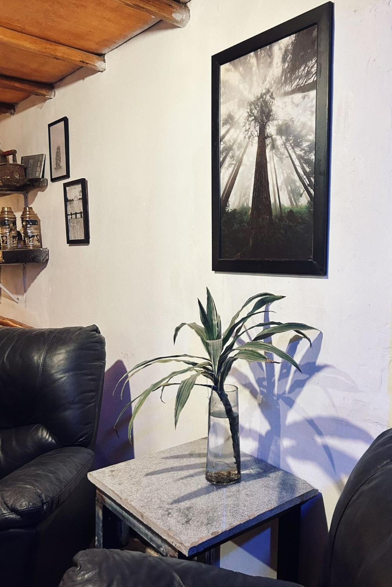 Hotel Ambewela Rangers