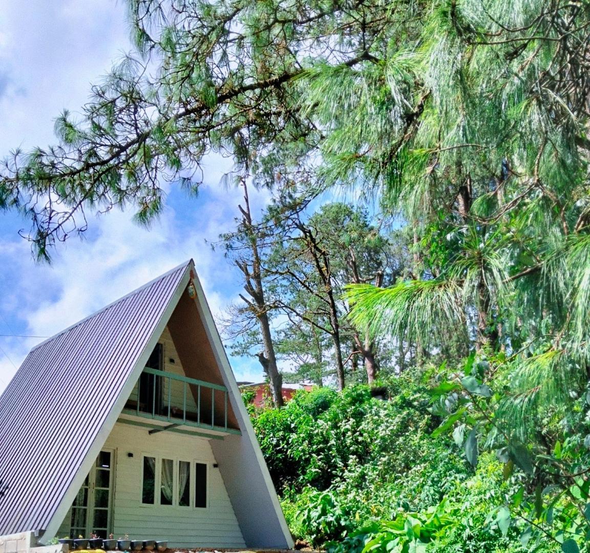 Chalet Night Nuwara Eliya