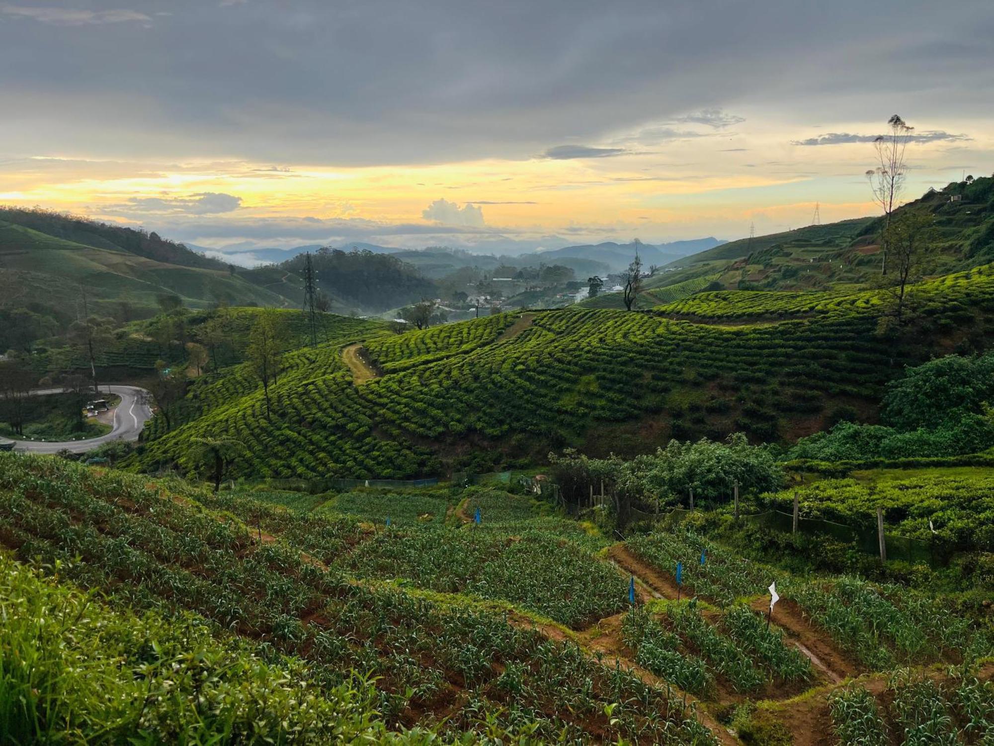 The Crown's Misty Hills Hideaway * Nuwara Eliya