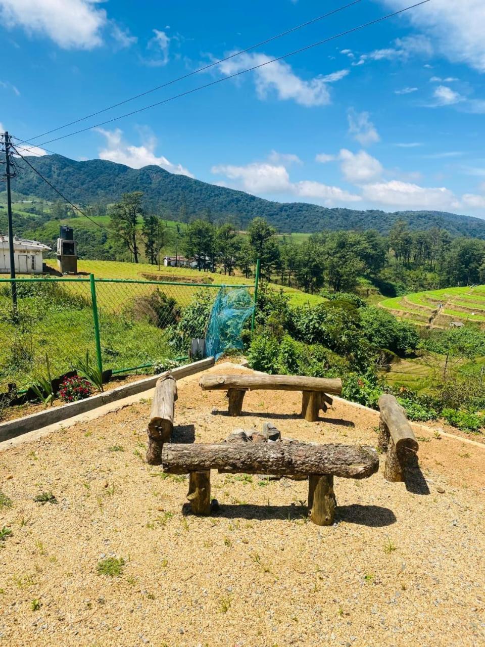 Freedom Peak Ambewela *