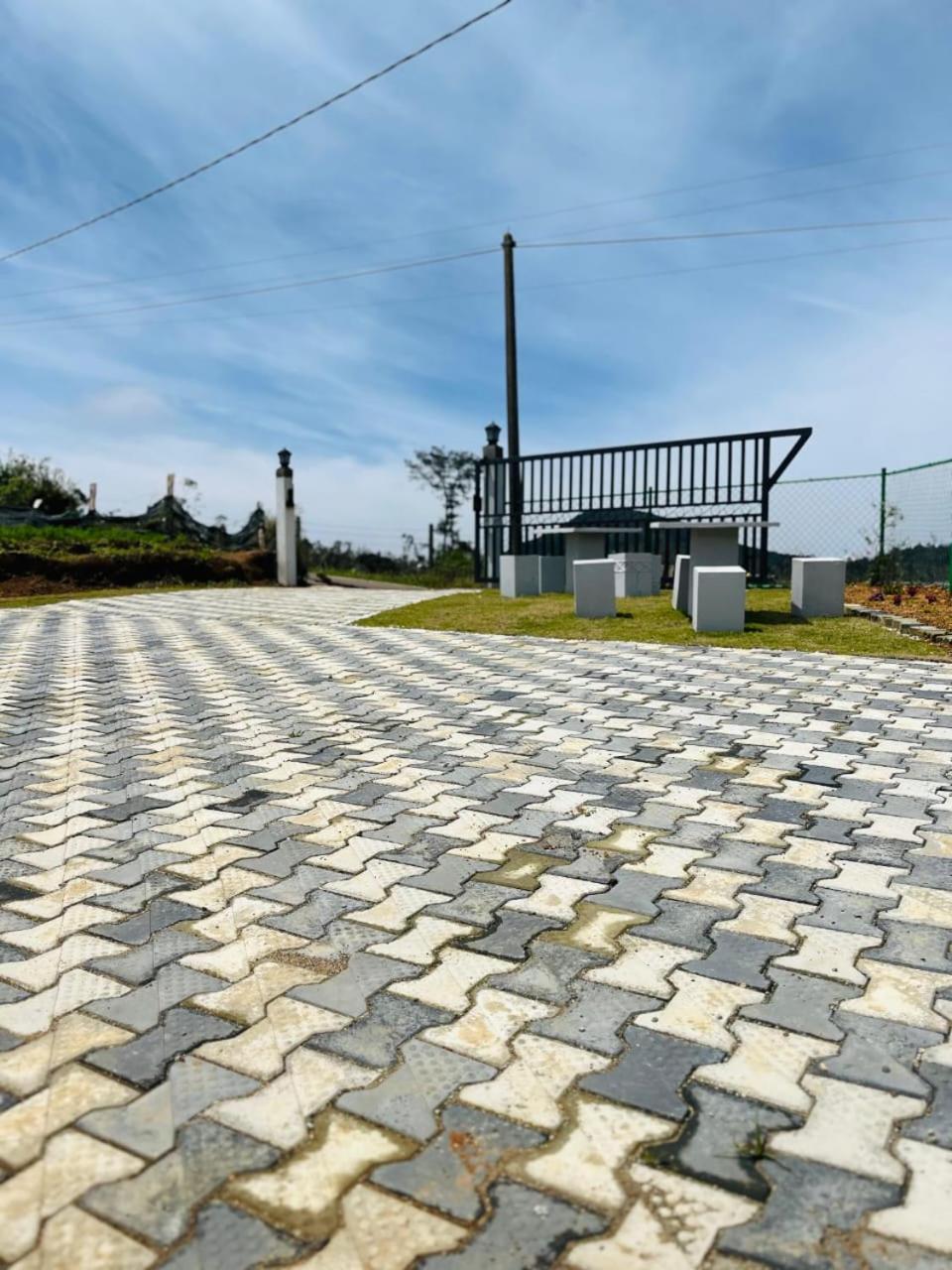 Freedom Peak Ambewela *