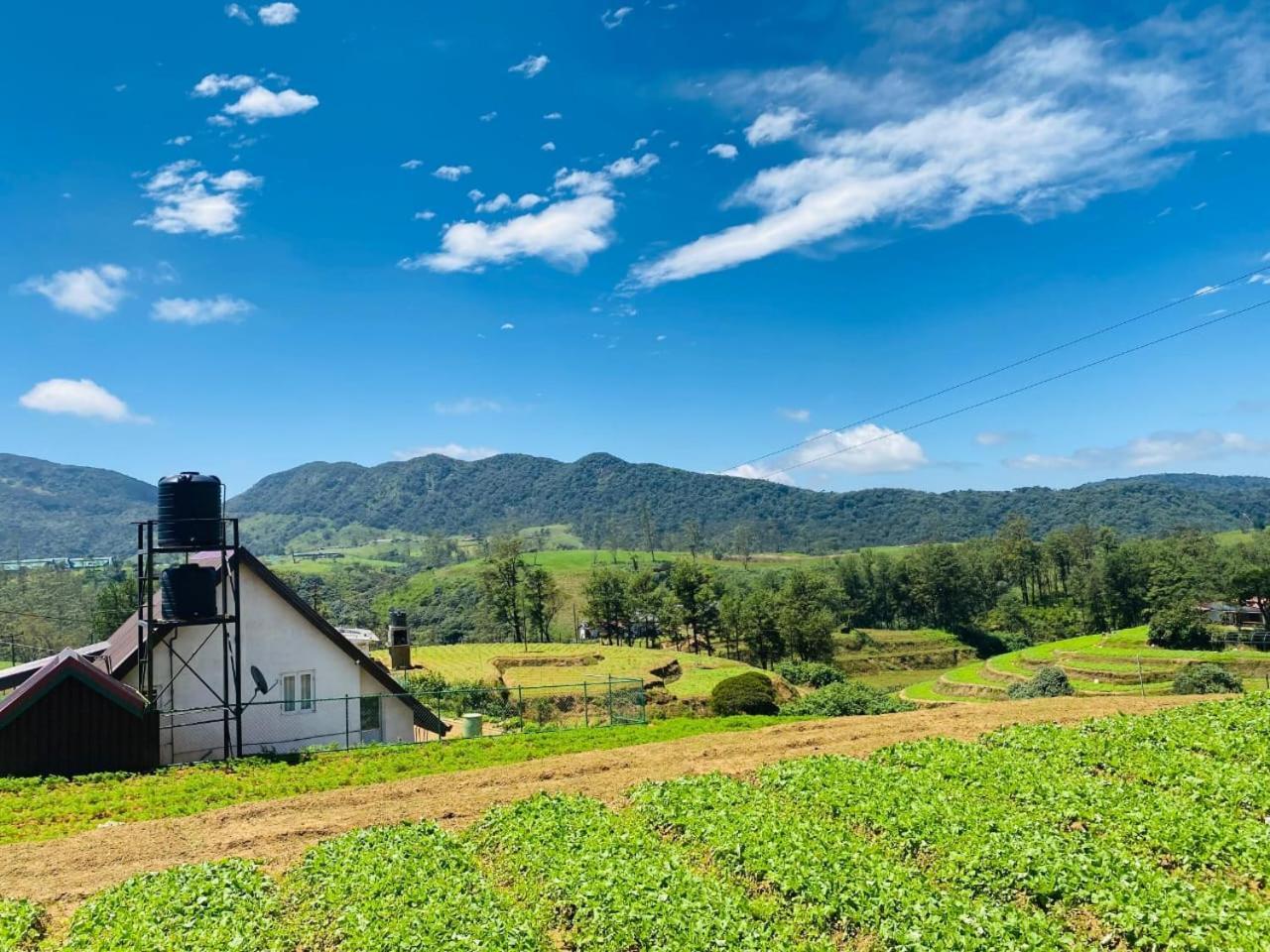 Villa Freedom Peak Ambewela *