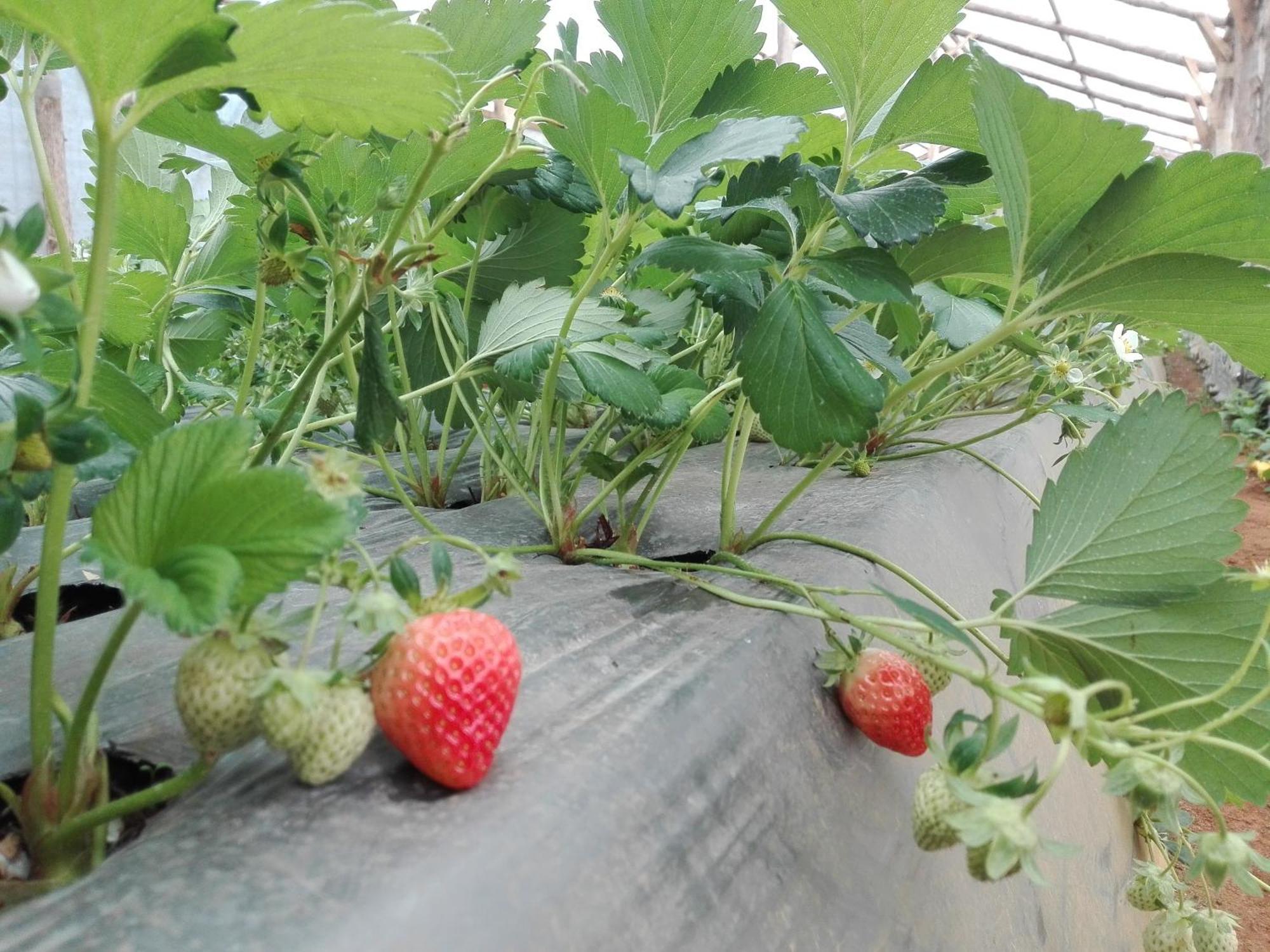 Holiday home Keshiya