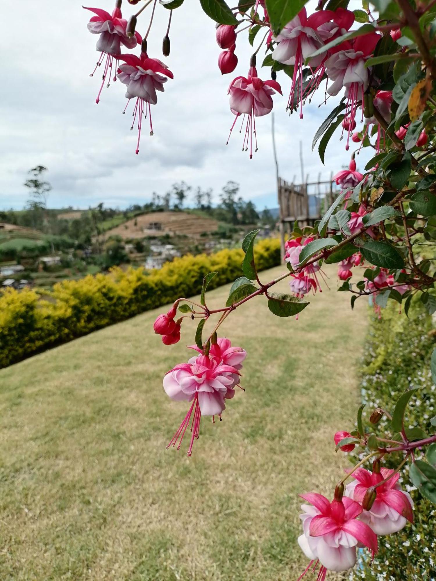 Keshiya Holiday home *